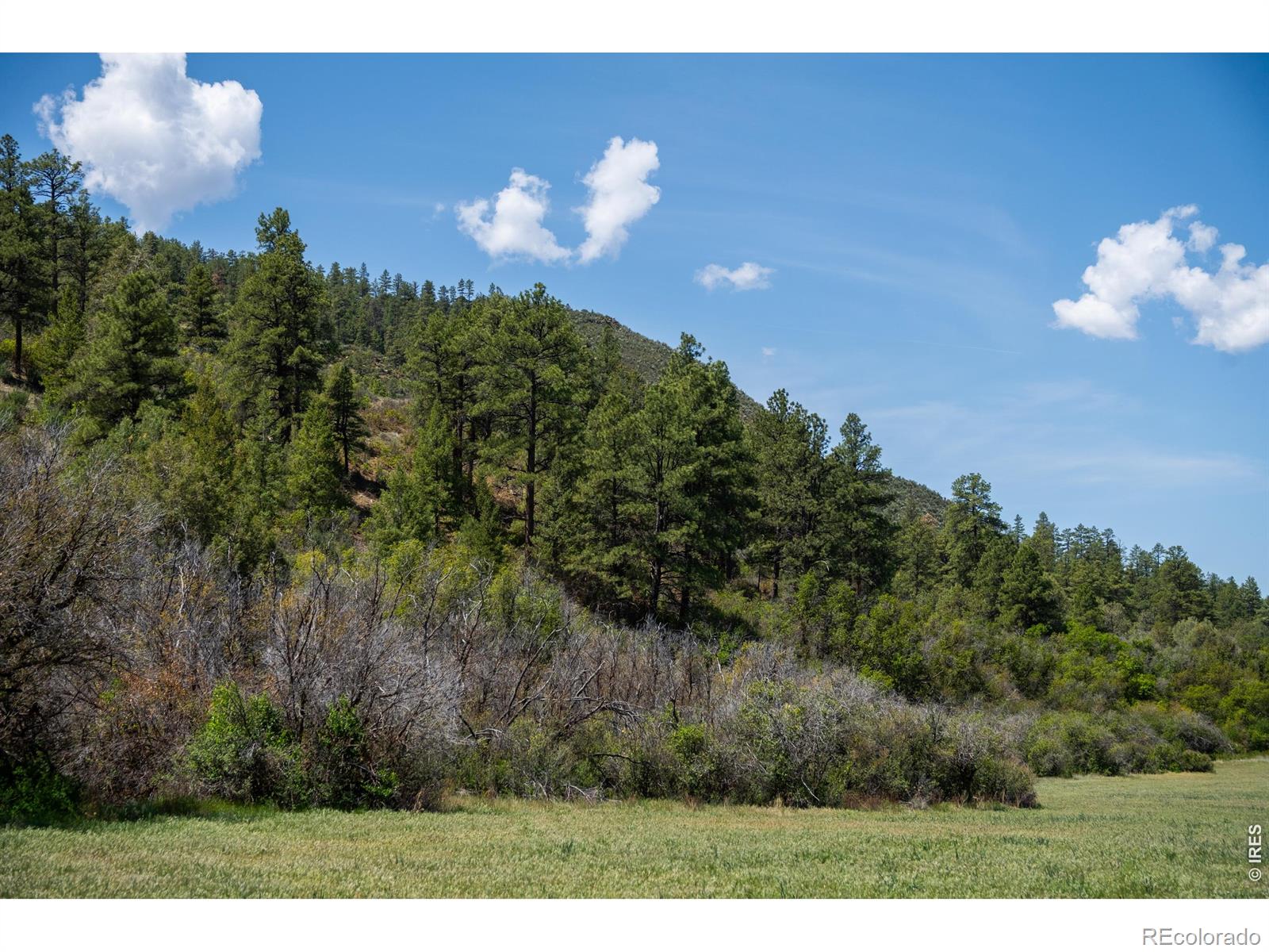 18880 County Road 500 Pagosa Springs CO 81147