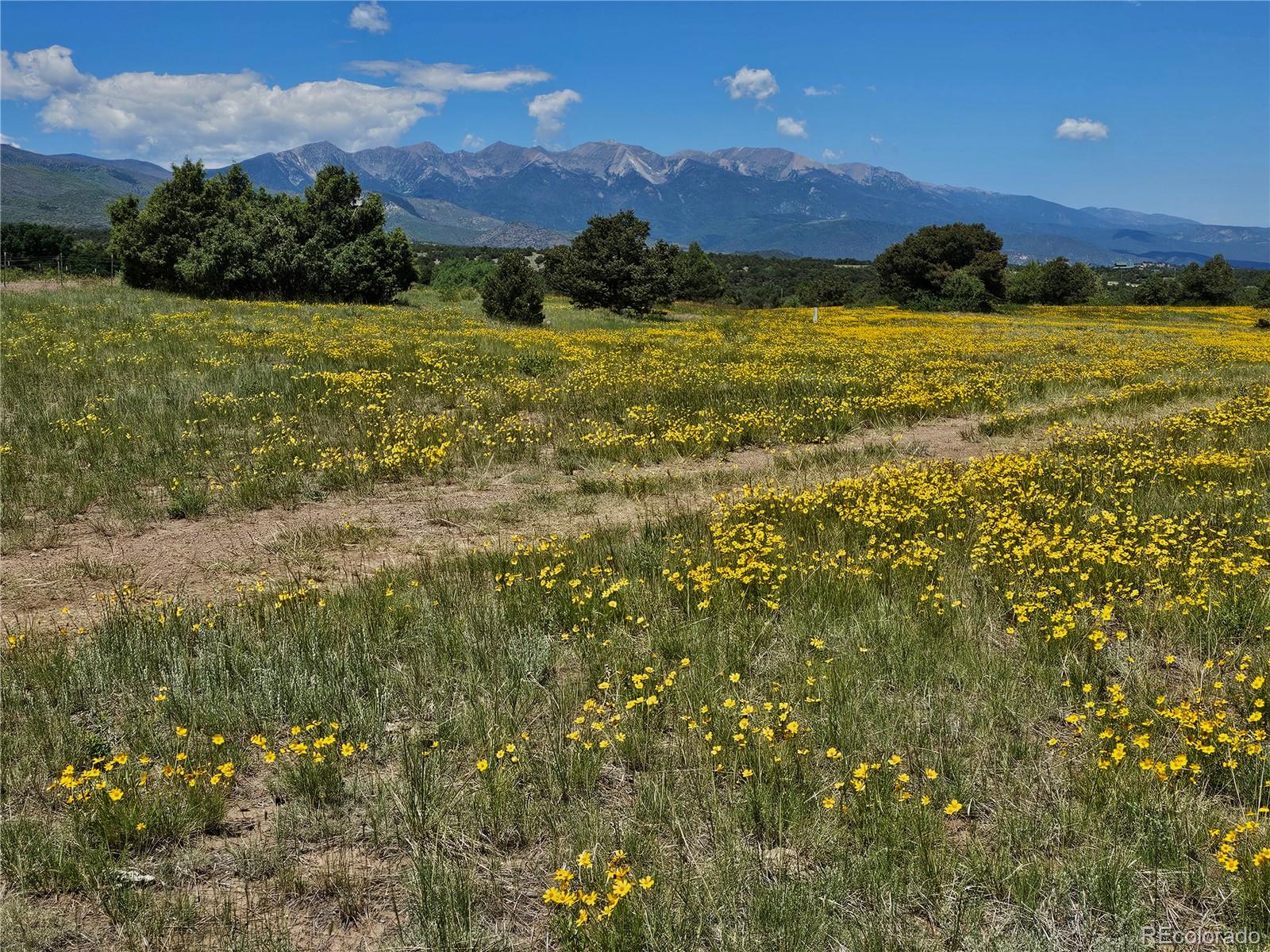 2490 County Road 1a Cotopaxi CO 81223