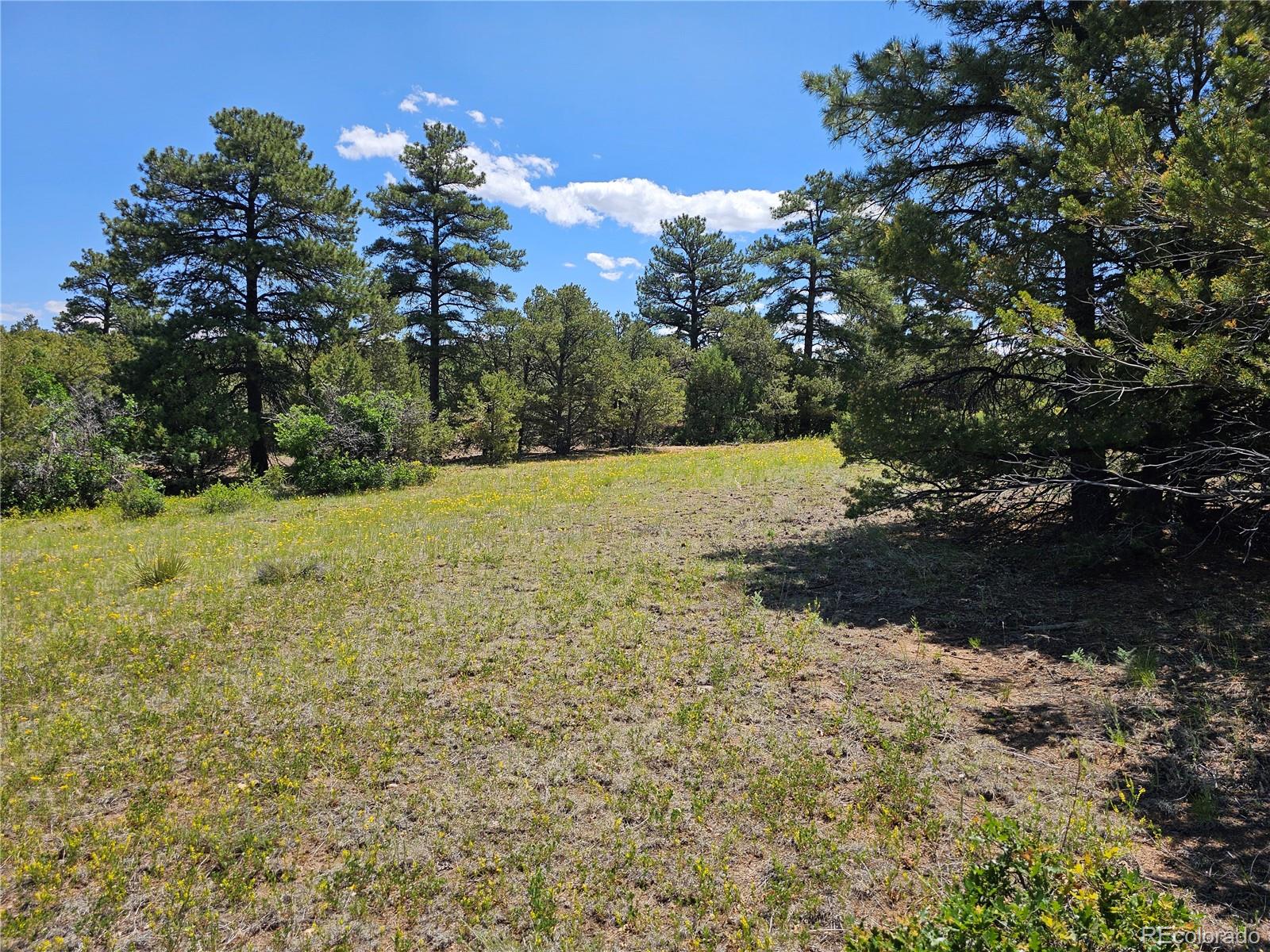 2490 County Road 1a Cotopaxi CO 81223