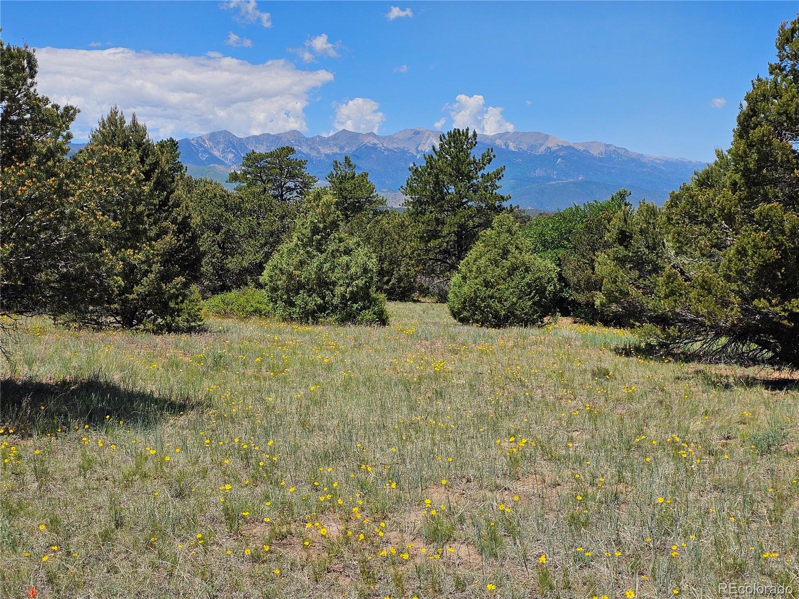 2490 County Road 1a Cotopaxi CO 81223