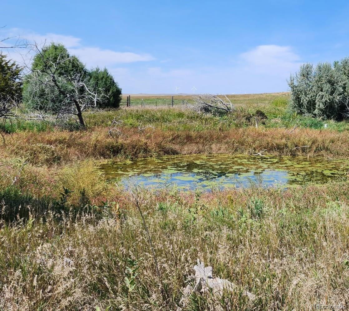 32207 County Road 75 Crook CO 80726