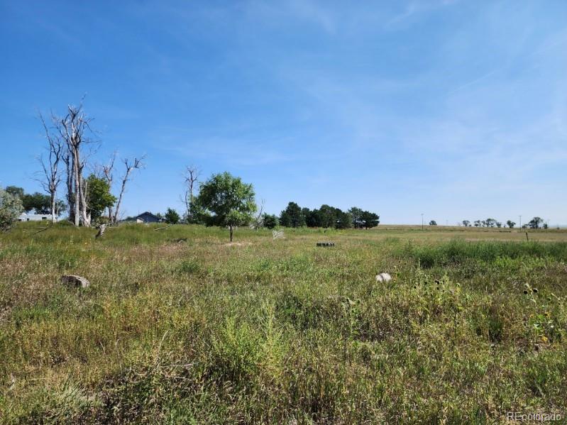32207 County Road 75 Crook CO 80726