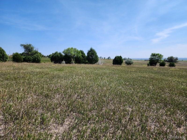 32207 County Road 75 Crook CO 80726