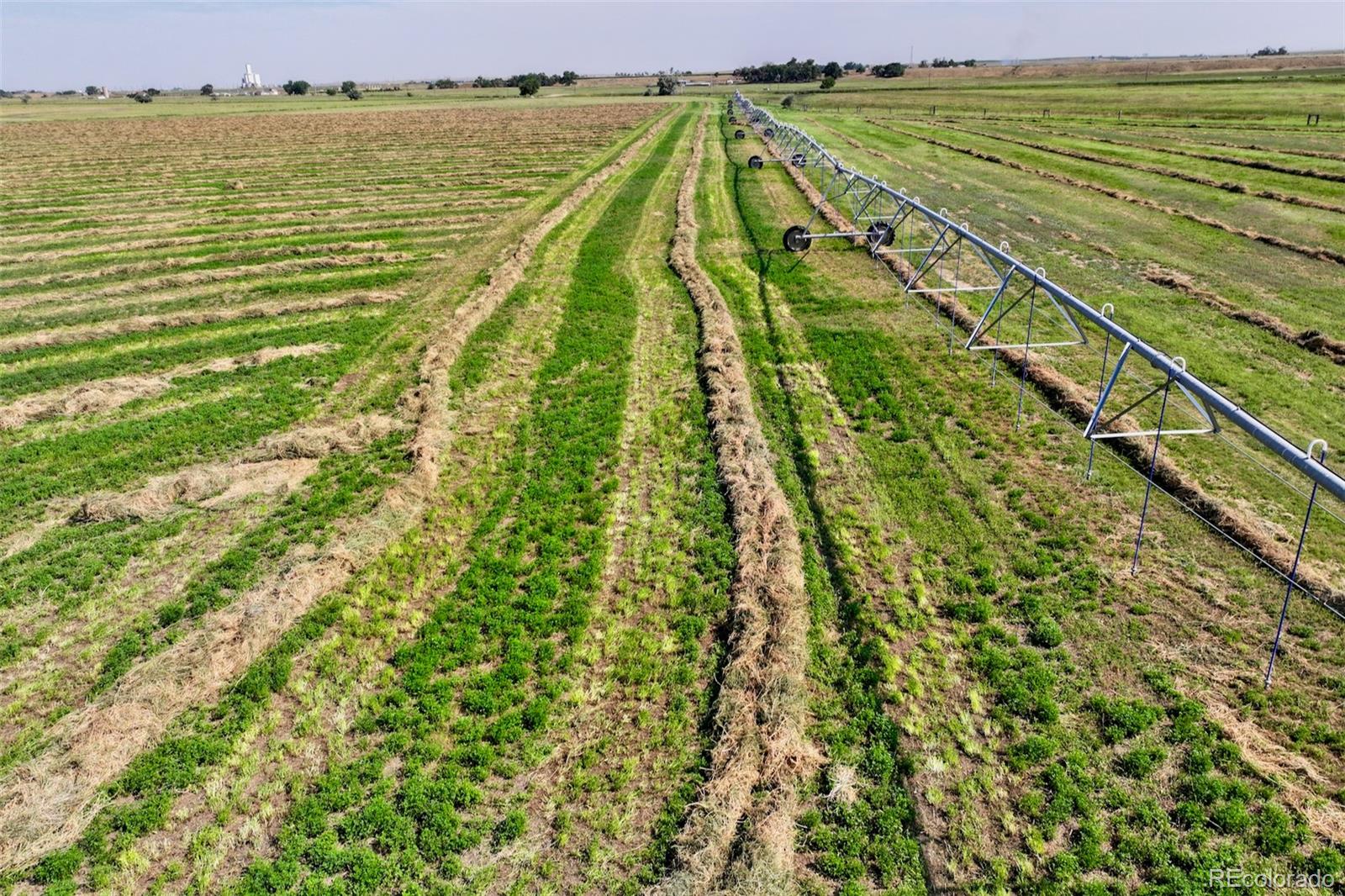 Tbd Cr 56 Cr 56 Kersey CO 80644