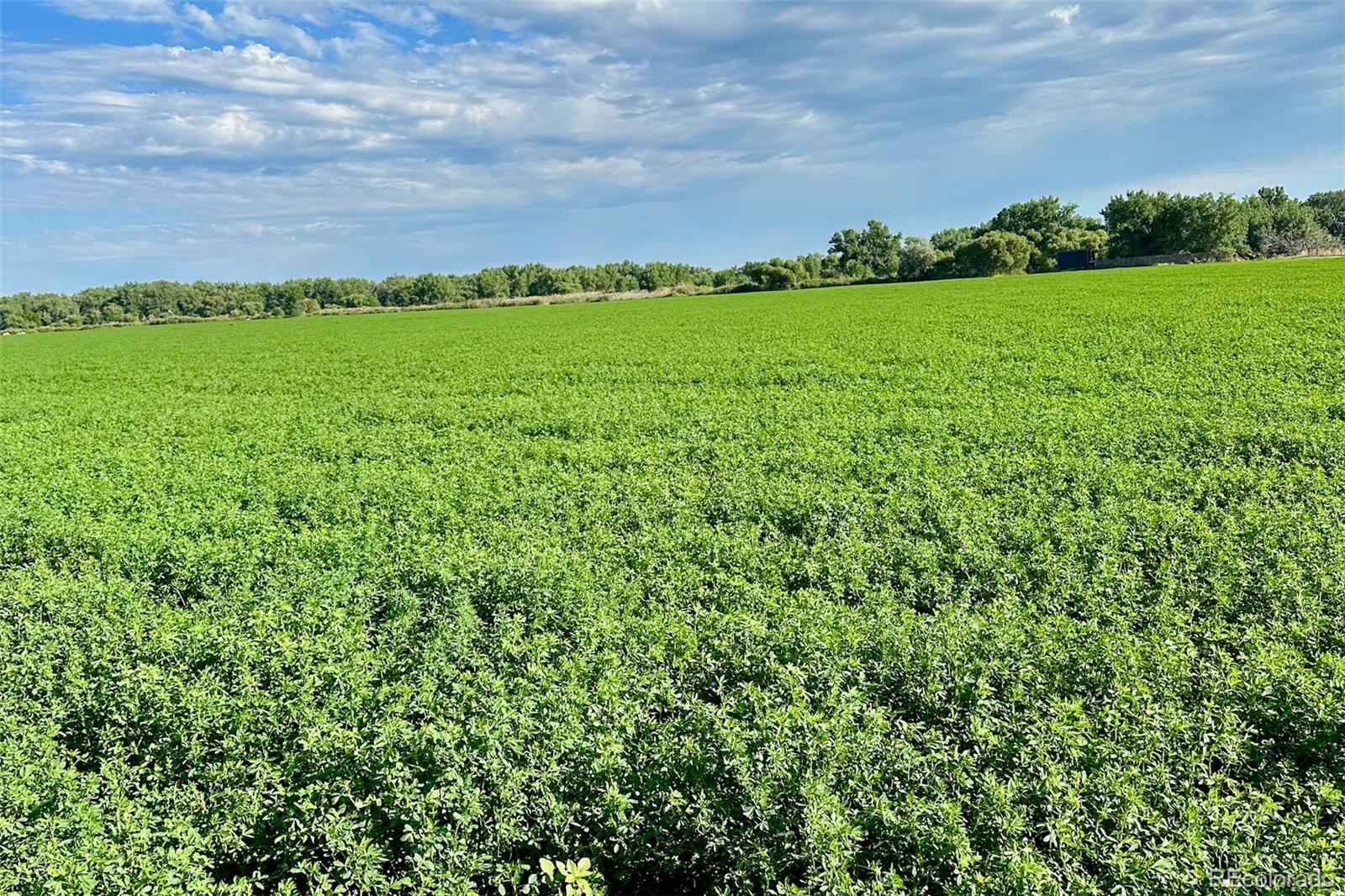 Tbd Cr 56 Cr 56 Kersey CO 80644