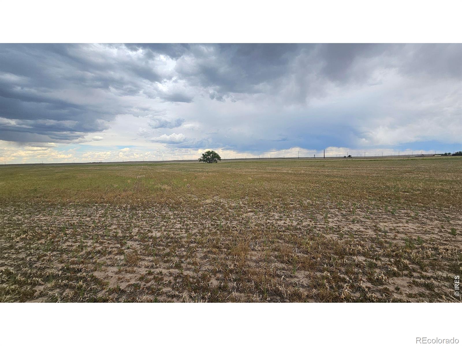 0 Tbd Wiggins CO 80654
