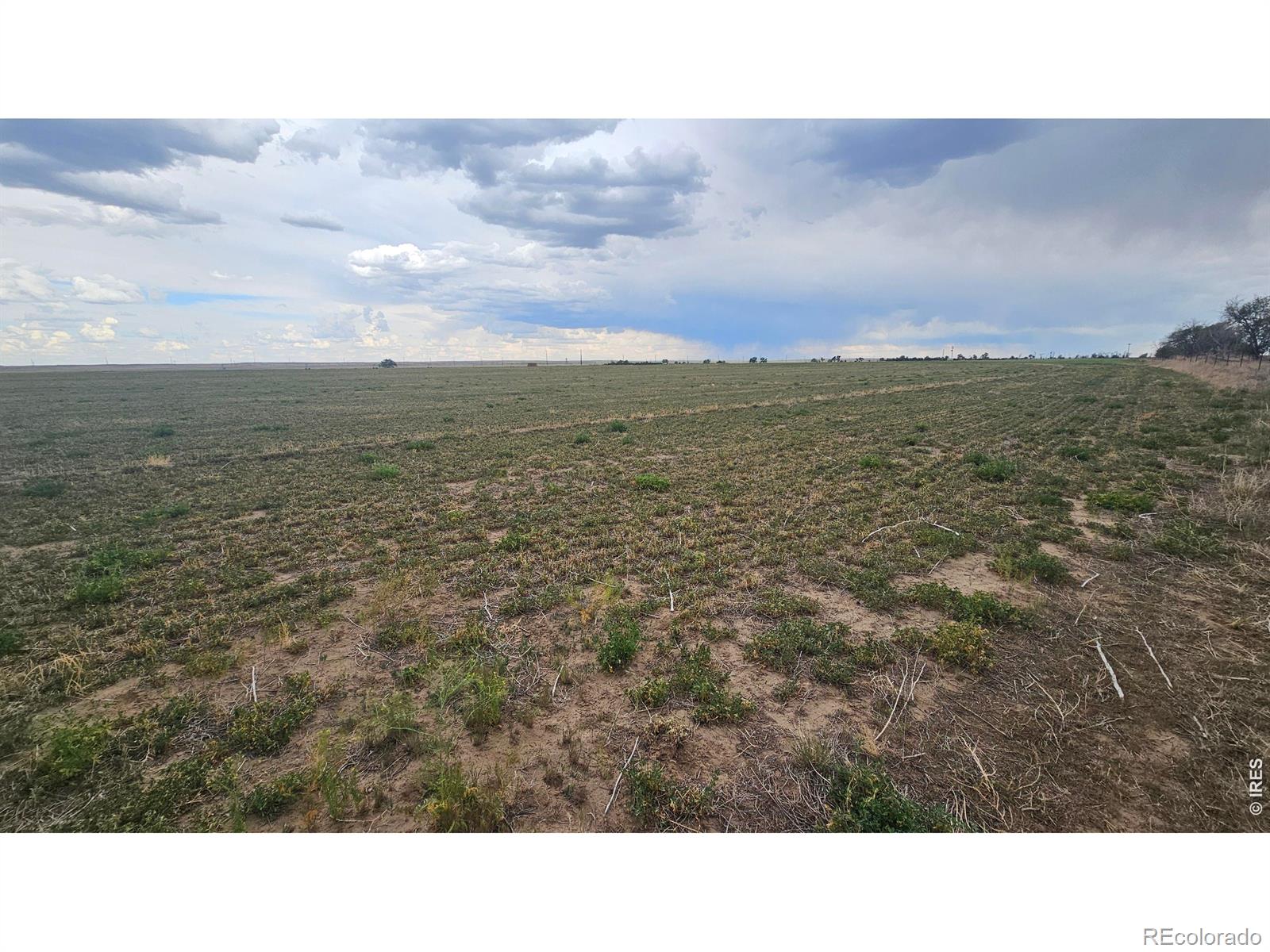 0 Tbd Wiggins CO 80654