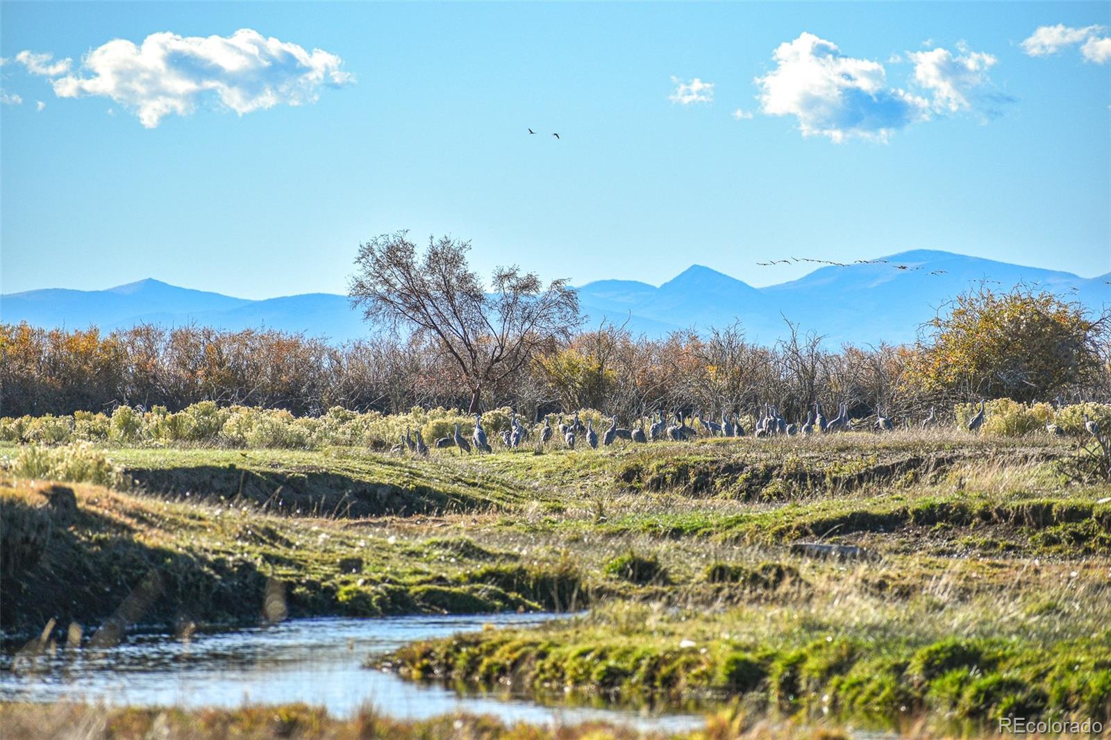 0 County Road 15.5 Blanca CO 81123