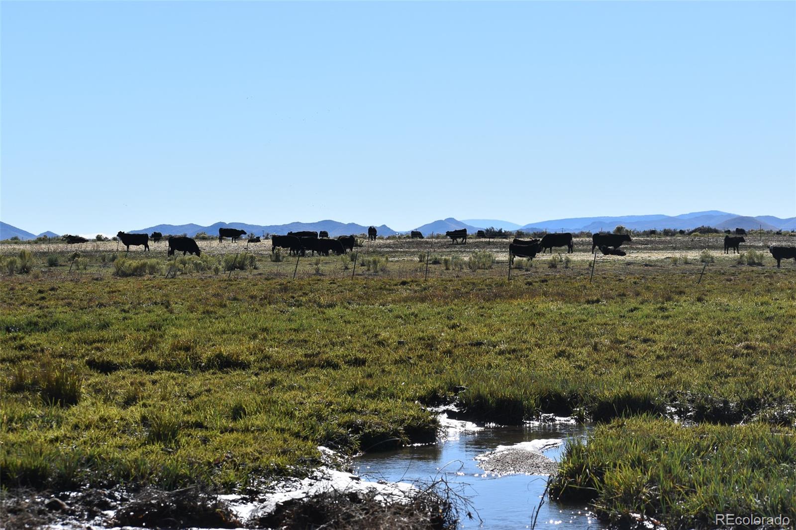 0 County Road 15.5 Blanca CO 81123