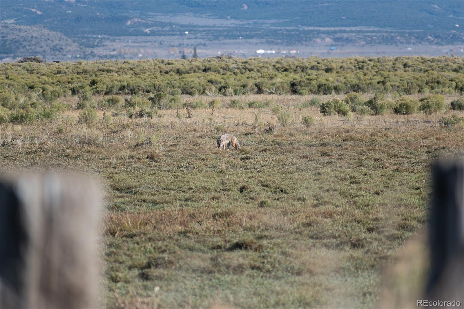 0 County Road 15.5 Blanca CO 81123