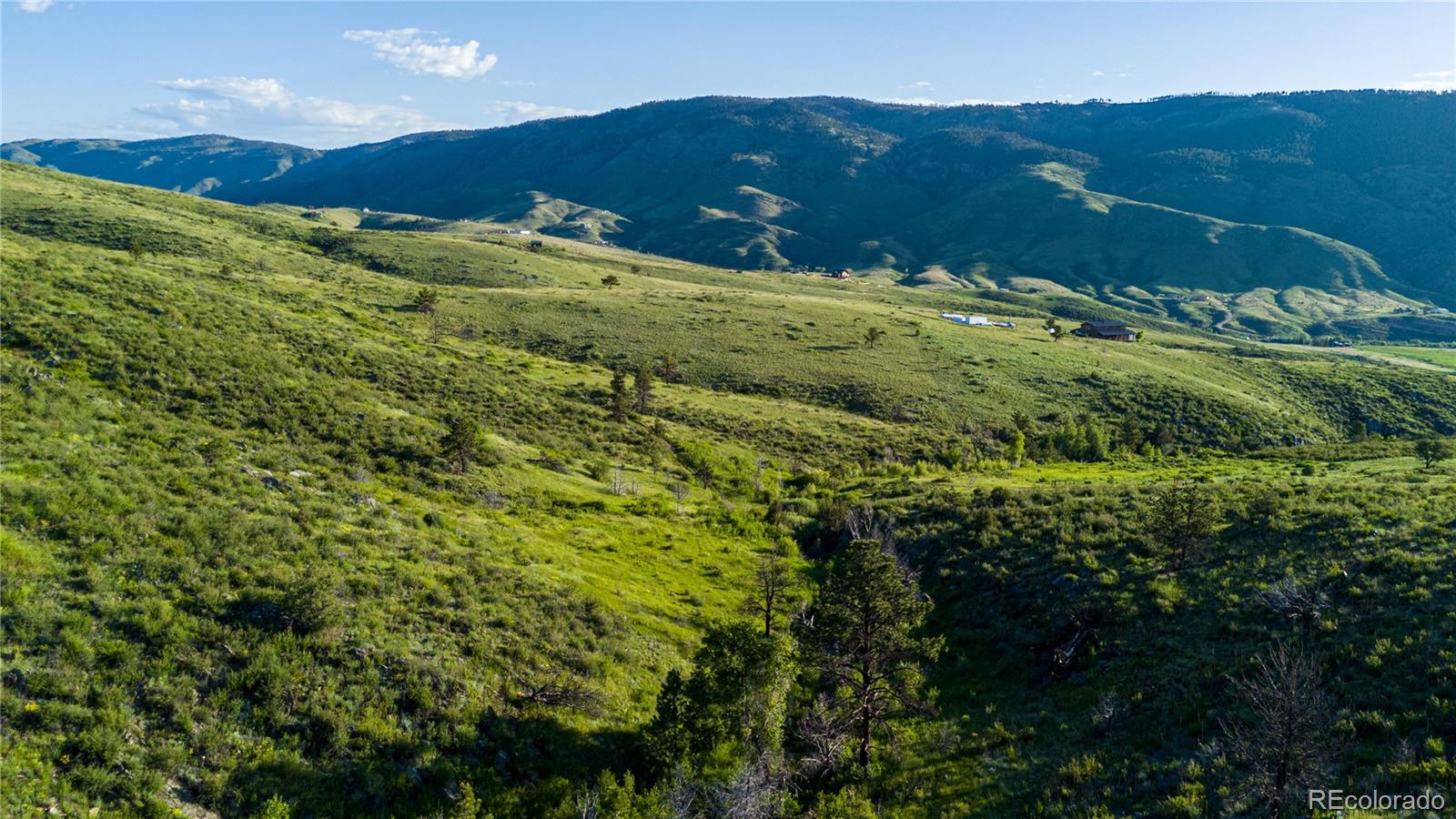 12711 Buckhorn Road Loveland CO 80538