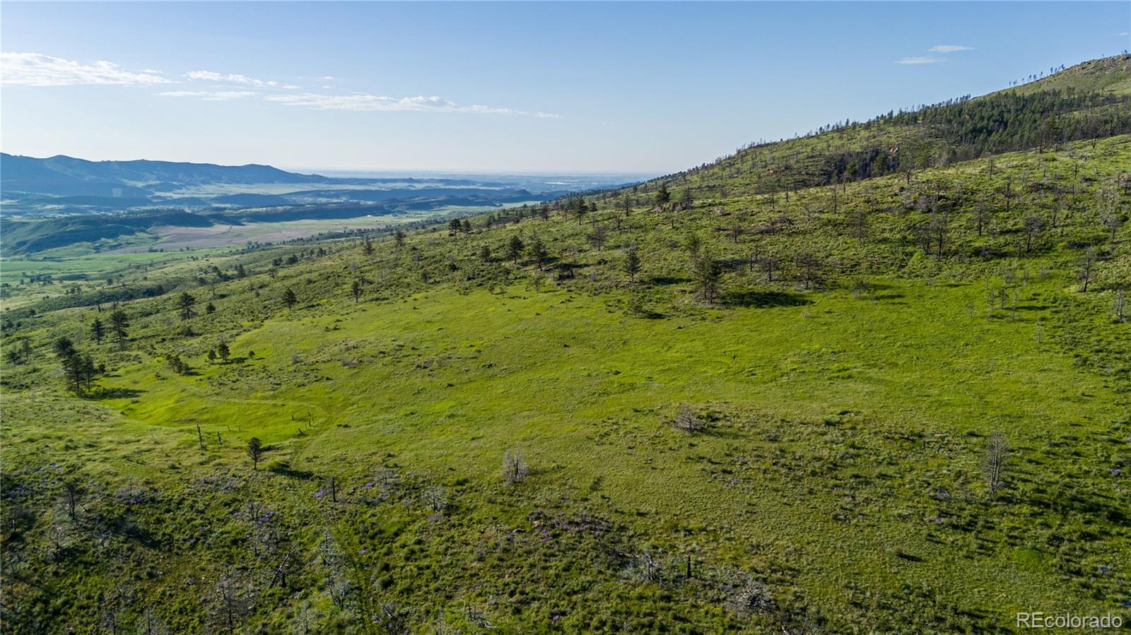 12711 Buckhorn Road Loveland CO 80538
