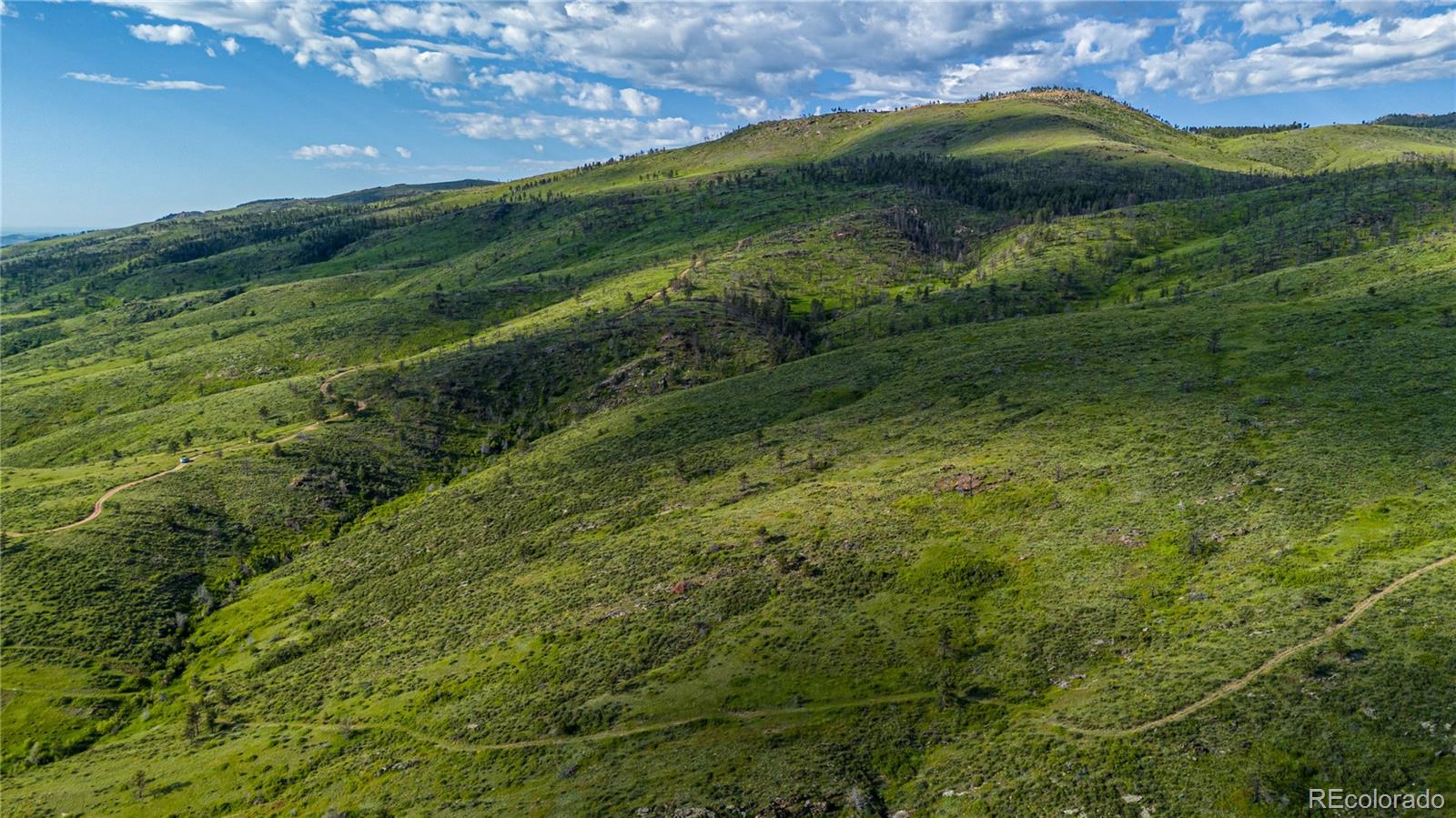 12711 Buckhorn Road Loveland CO 80538