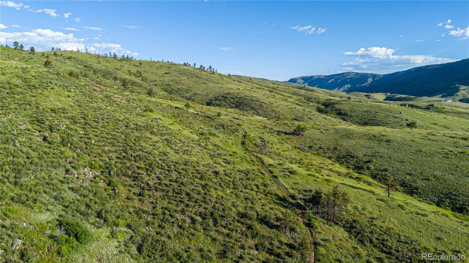 12711 Buckhorn Road Loveland CO 80538