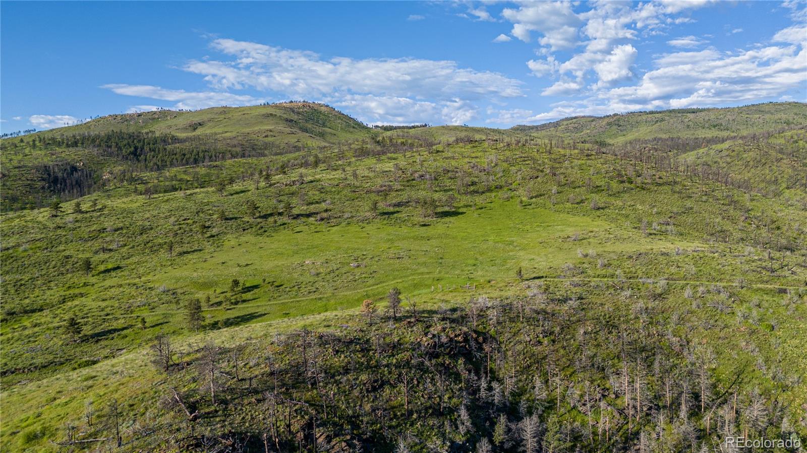 12711 Buckhorn Road Loveland CO 80538
