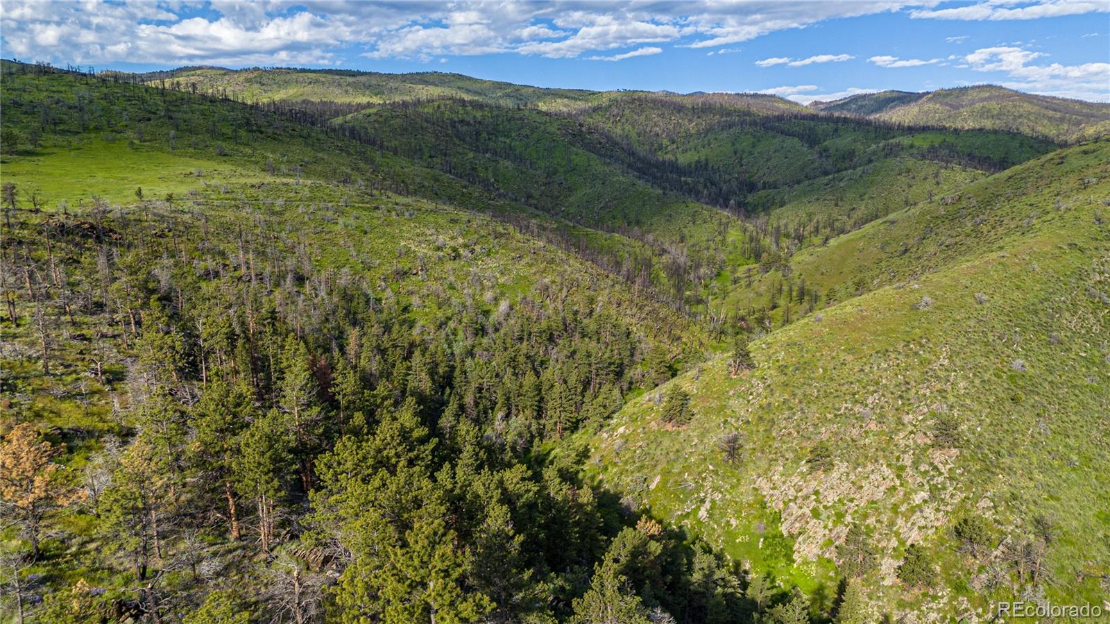 12711 Buckhorn Road Loveland CO 80538