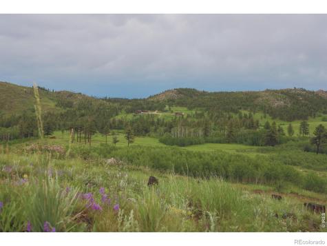 14884 Rist Canyon Road Bellvue CO 80512