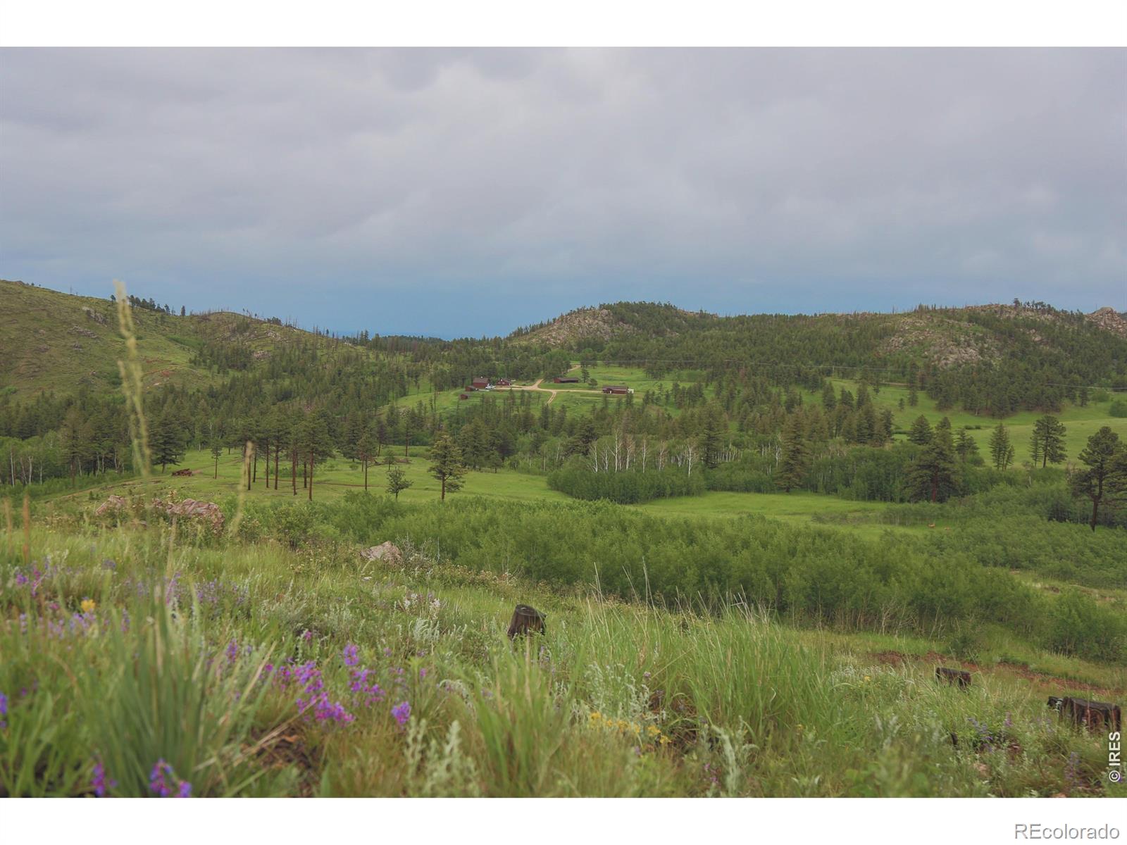 14884 Rist Canyon Road Bellvue CO 80512