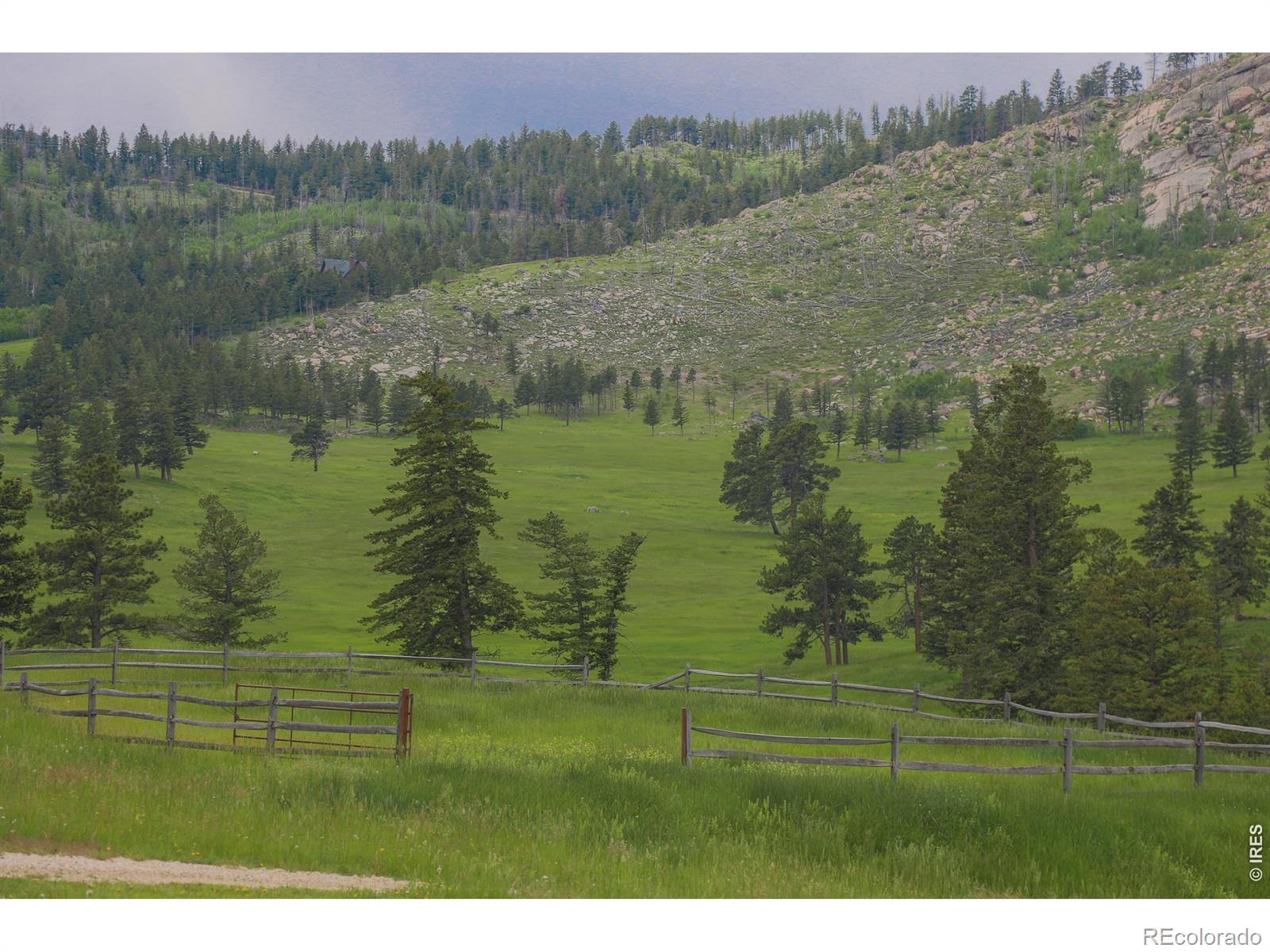 14884 Rist Canyon Road Bellvue CO 80512