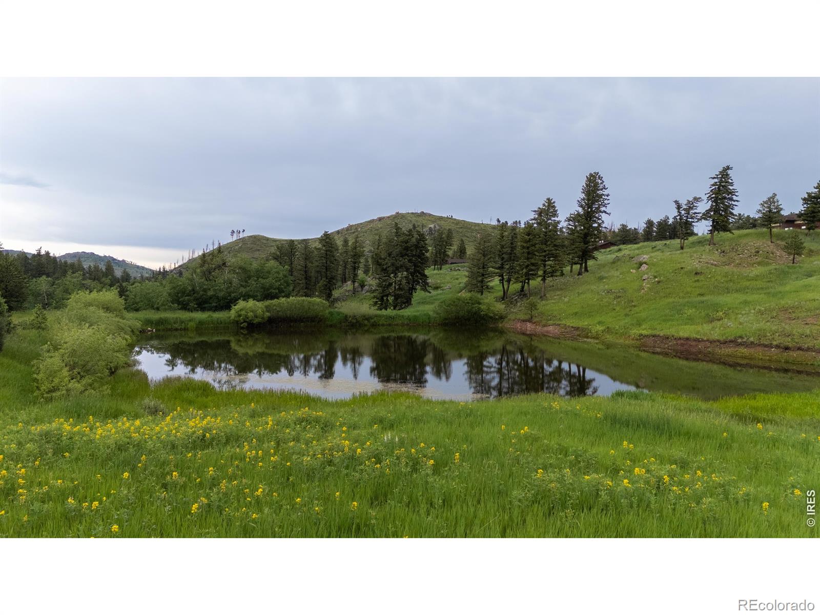 14884 Rist Canyon Road Bellvue CO 80512