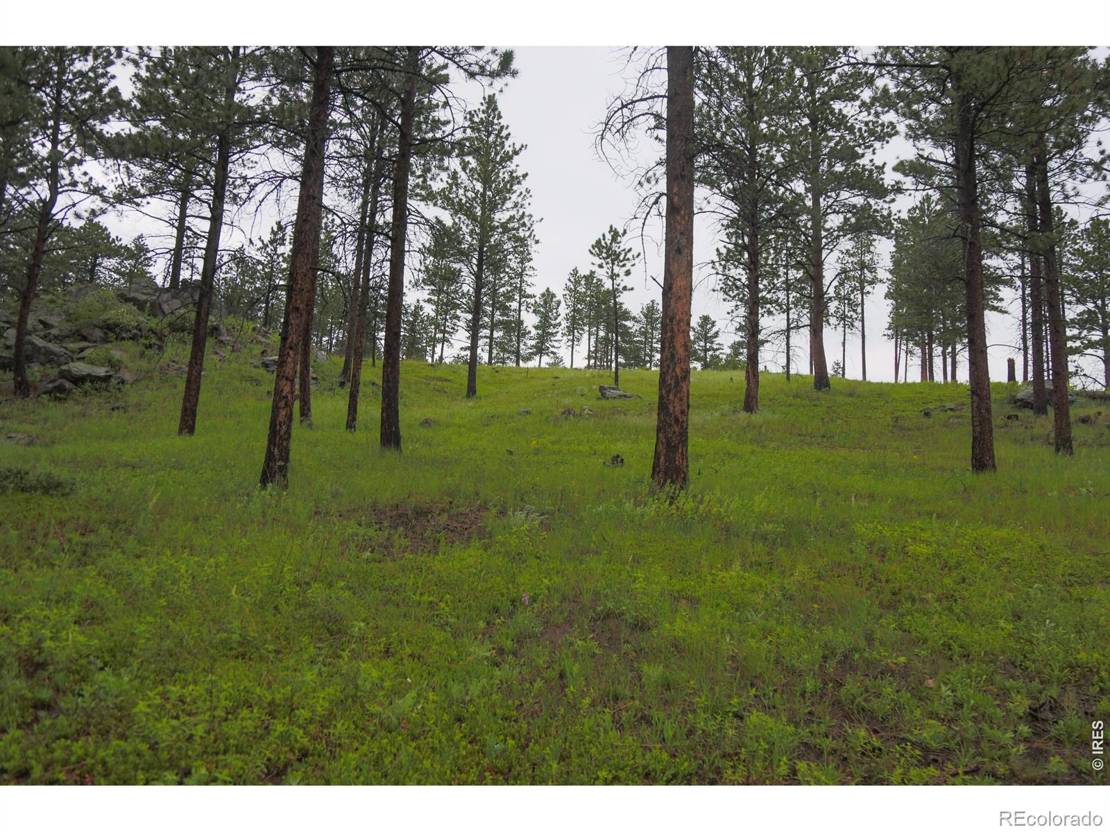 14884 Rist Canyon Road Bellvue CO 80512