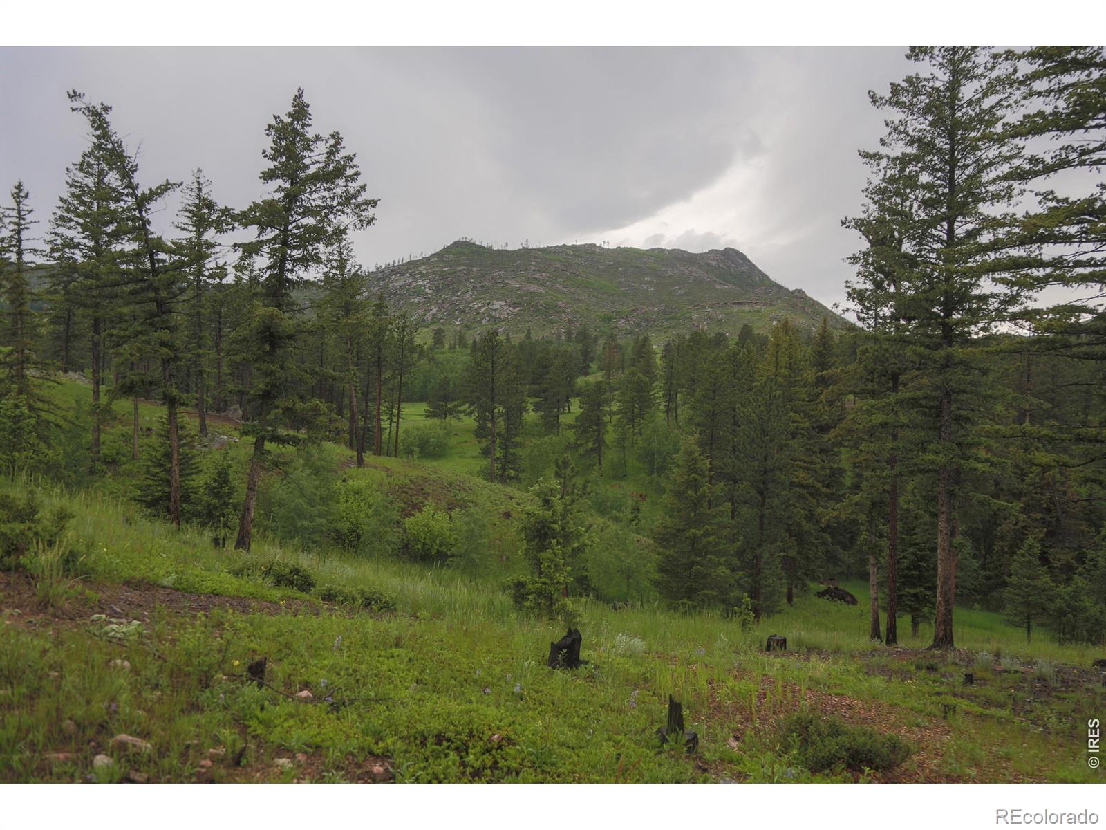 14884 Rist Canyon Road Bellvue CO 80512
