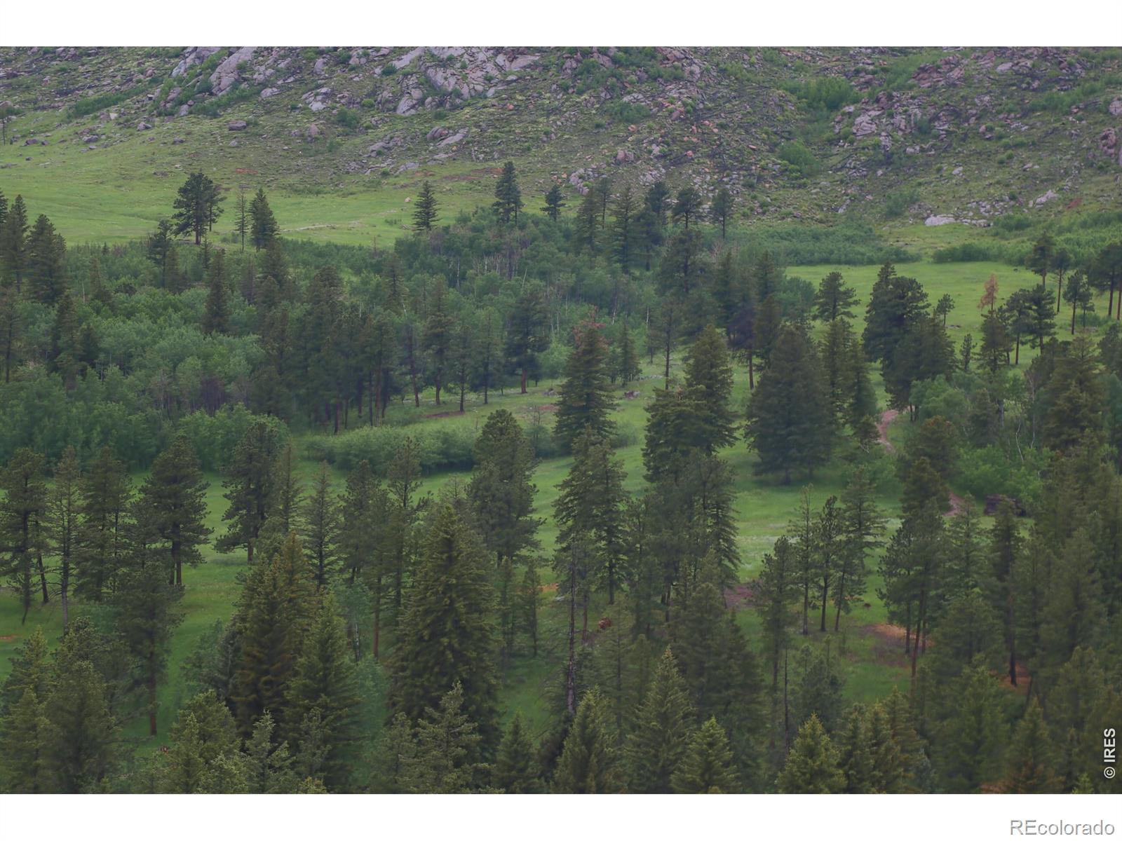 14884 Rist Canyon Road Bellvue CO 80512