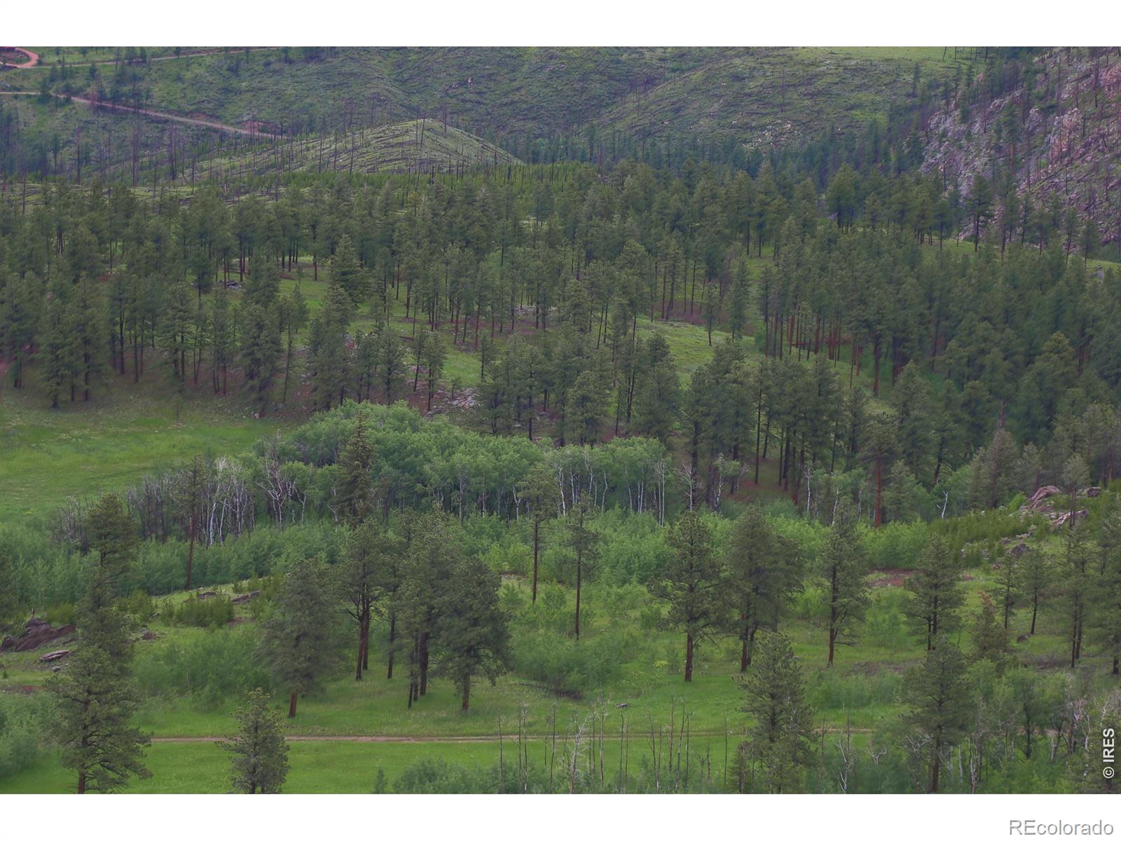 14884 Rist Canyon Road Bellvue CO 80512