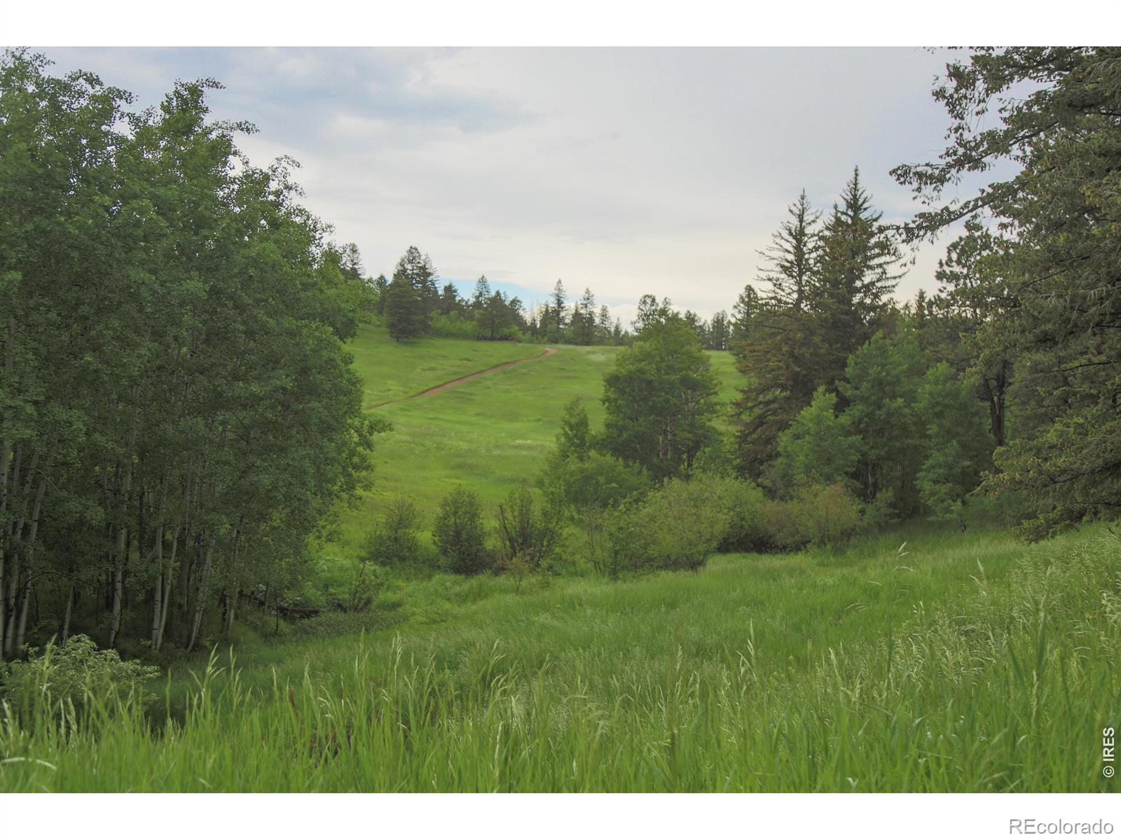 14884 Rist Canyon Road Bellvue CO 80512