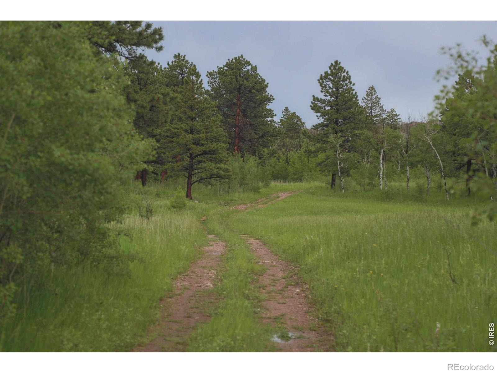14884 Rist Canyon Road Bellvue CO 80512