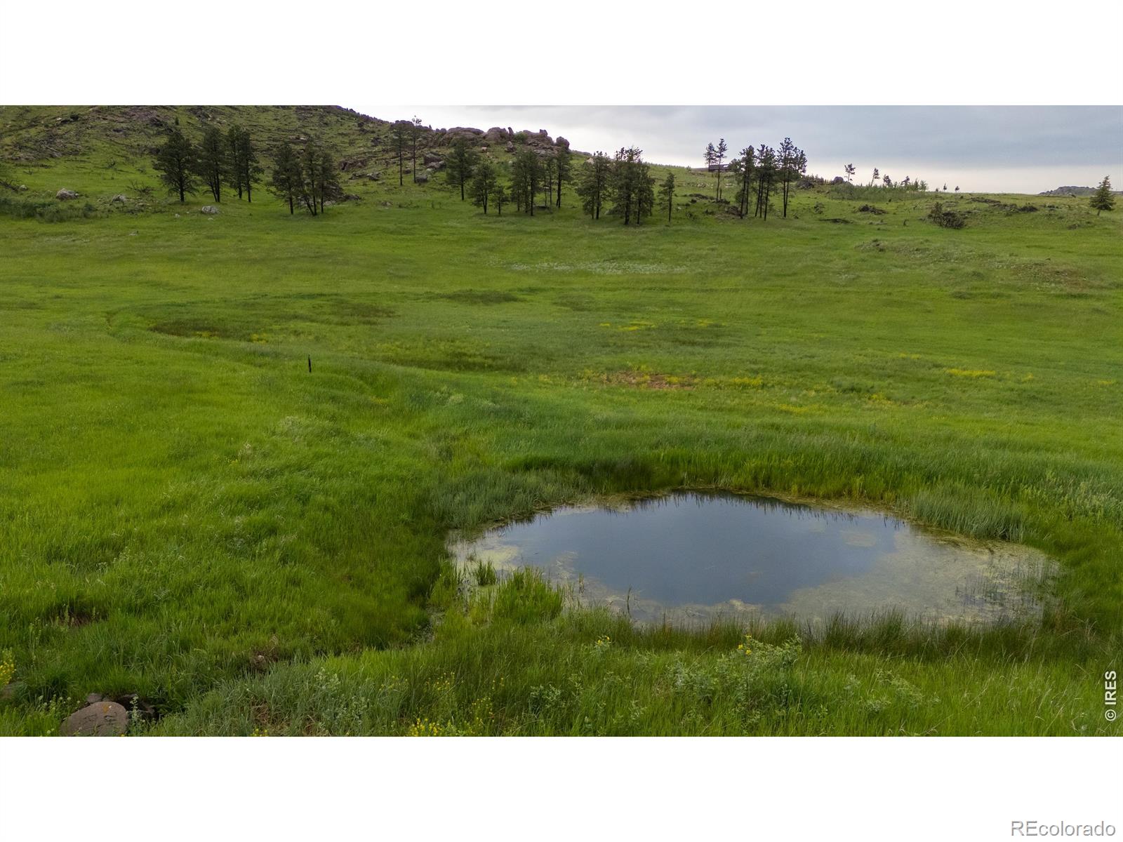 14884 Rist Canyon Road Bellvue CO 80512