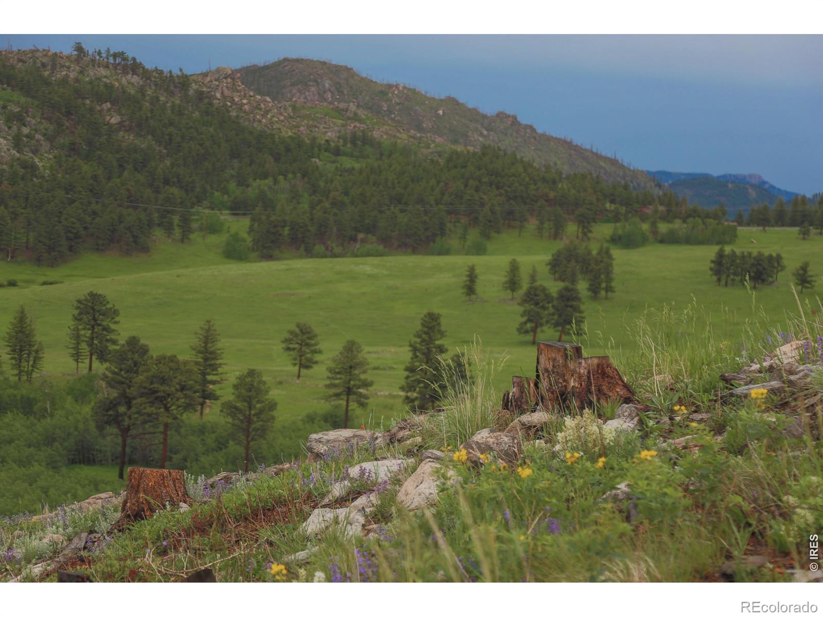 14884 Rist Canyon Road Bellvue CO 80512
