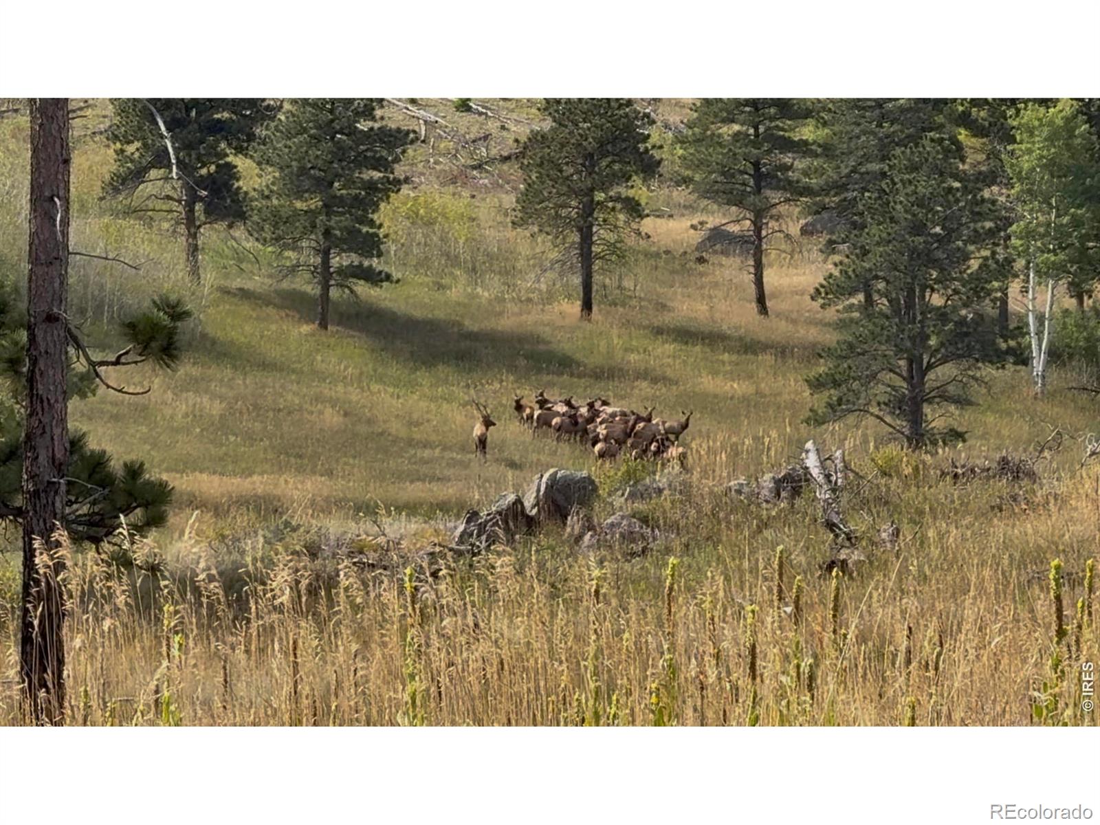 14884 Rist Canyon Road Bellvue CO 80512