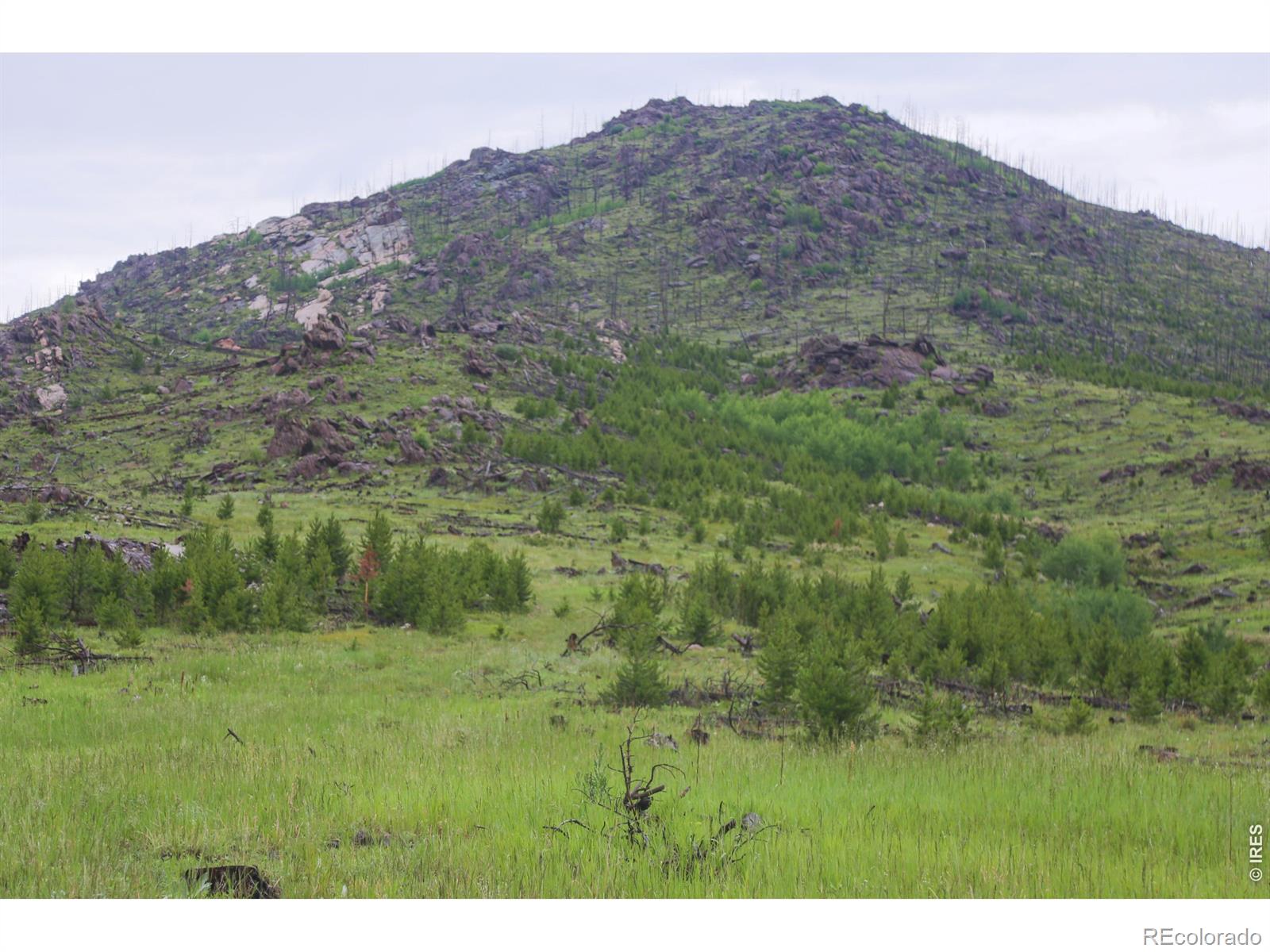 14884 Rist Canyon Road Bellvue CO 80512