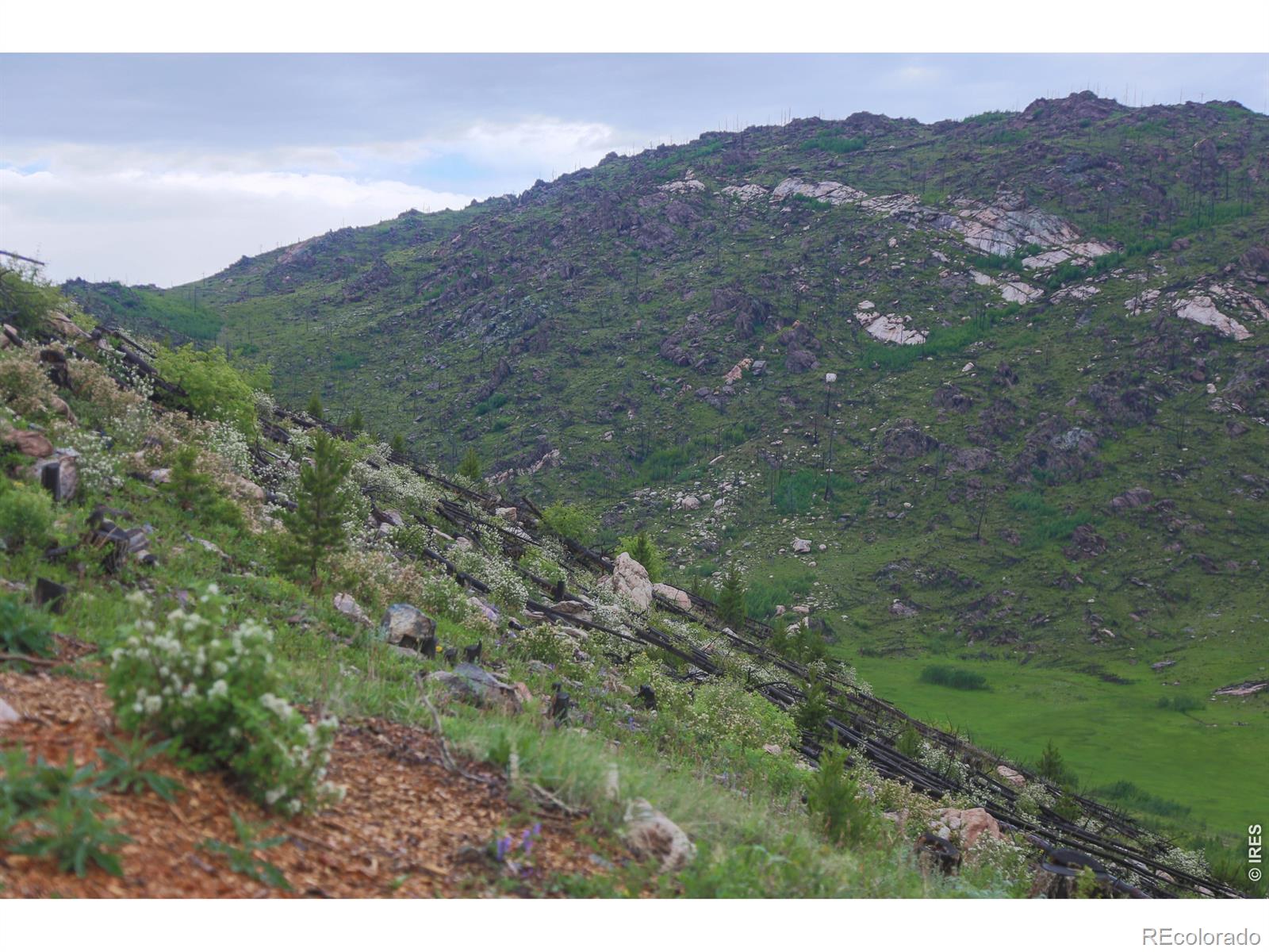 14884 Rist Canyon Road Bellvue CO 80512