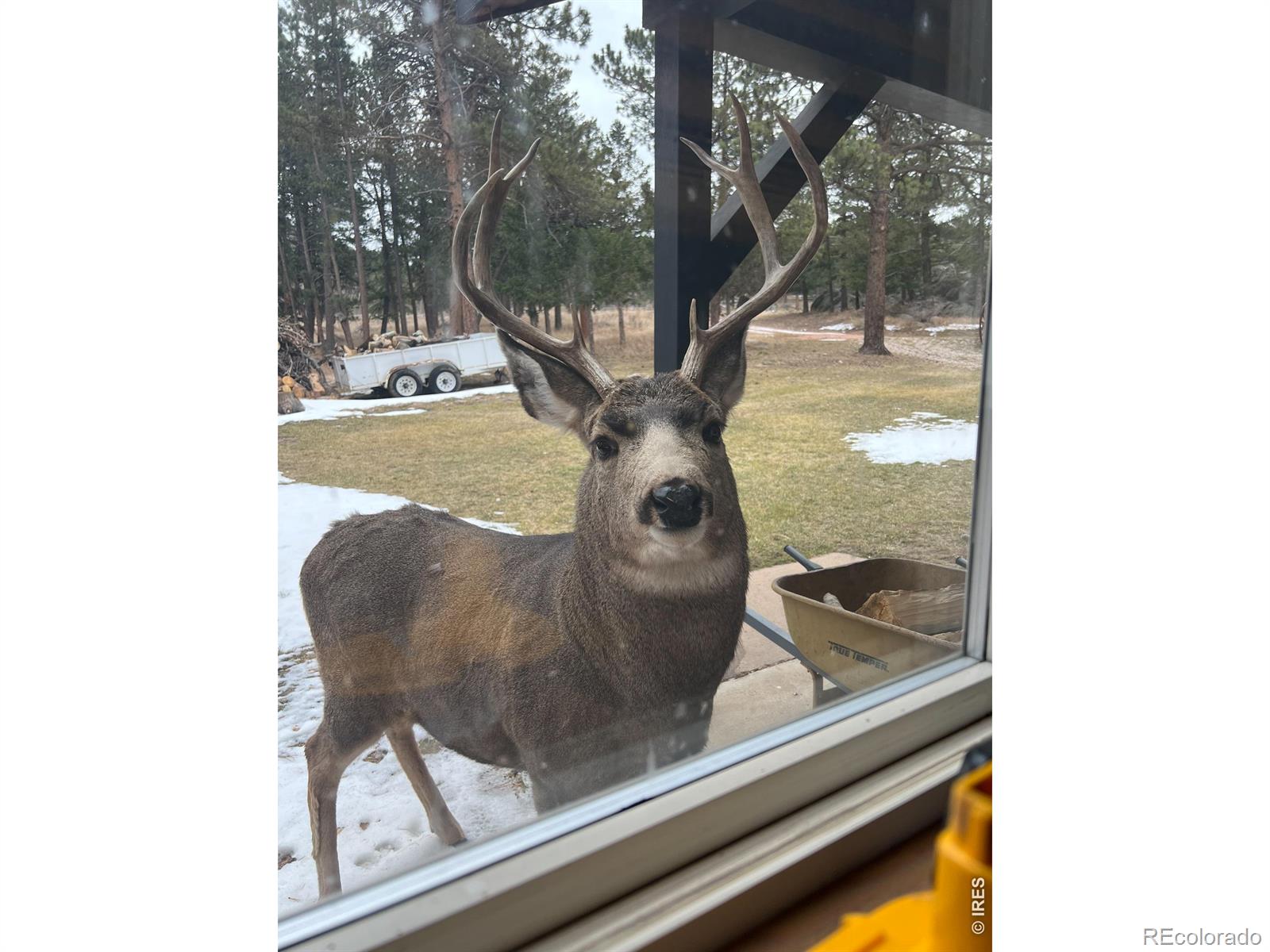 14884 Rist Canyon Road Bellvue CO 80512