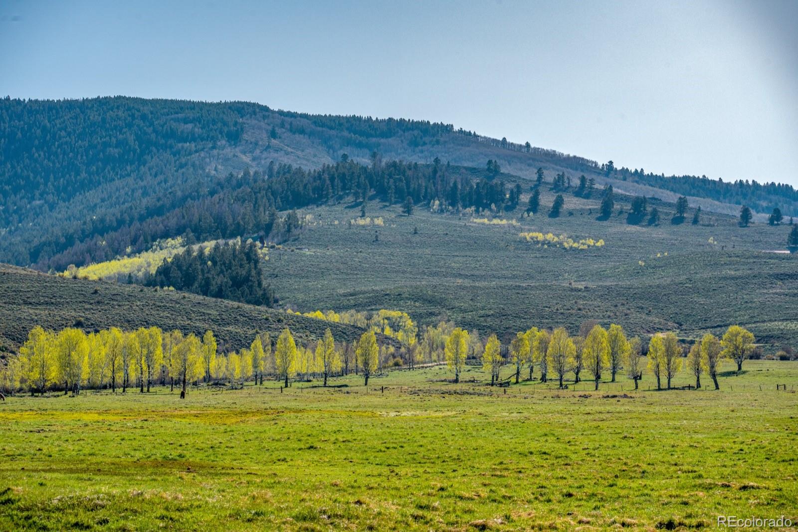 623 County Road 813 Almont CO 81210