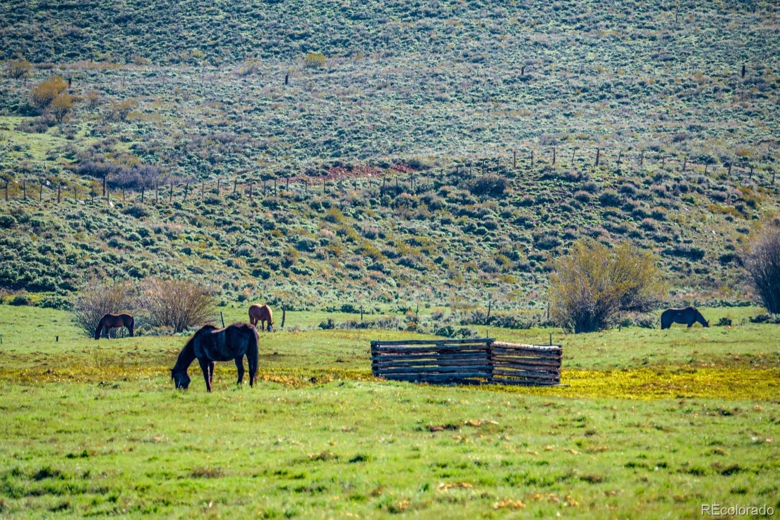 623 County Road 813 Almont CO 81210