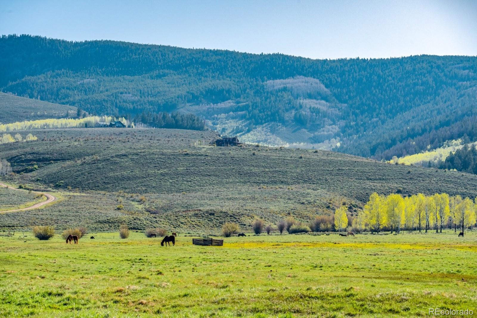 623 County Road 813 Almont CO 81210
