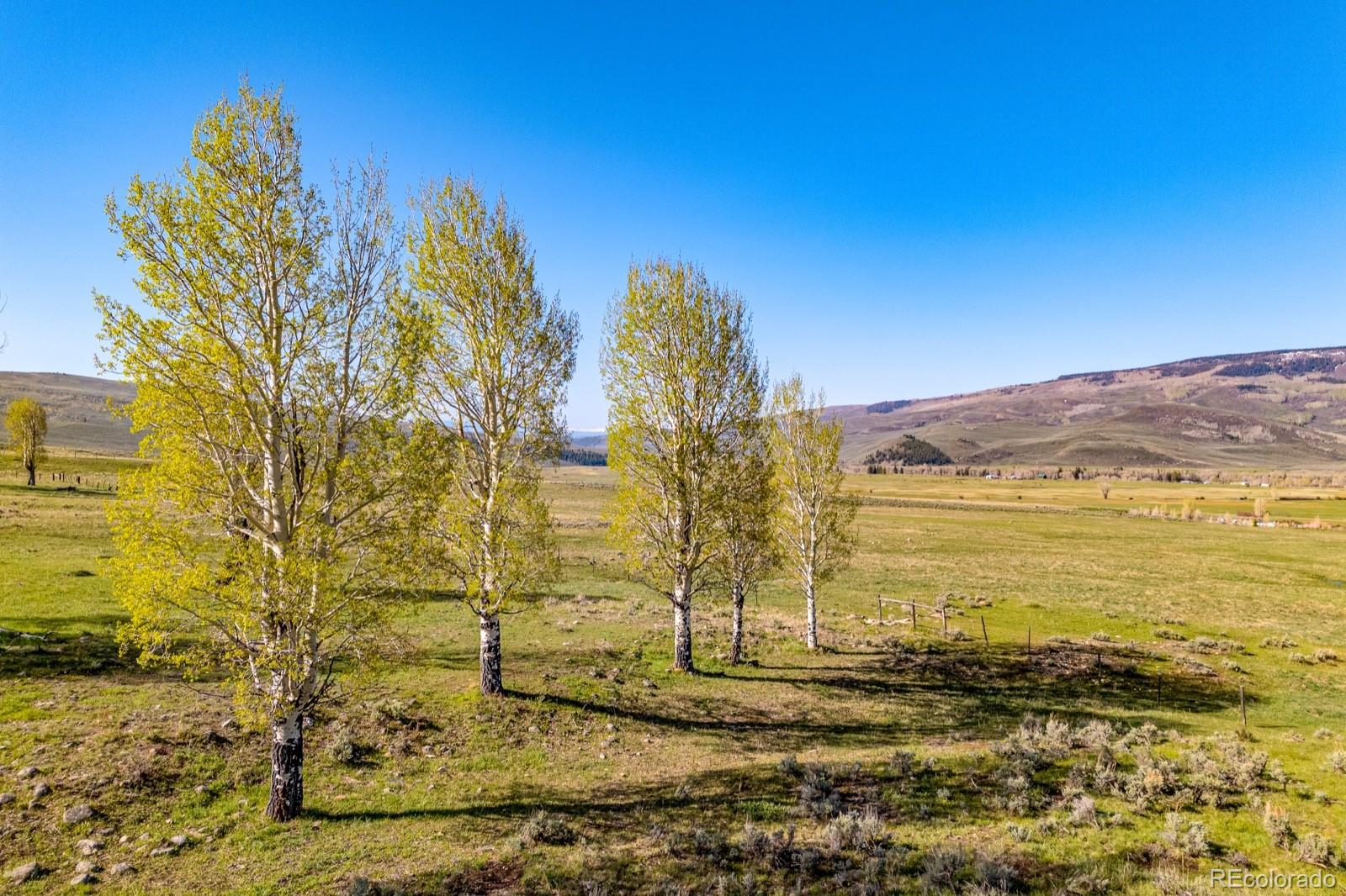623 County Road 813 Almont CO 81210