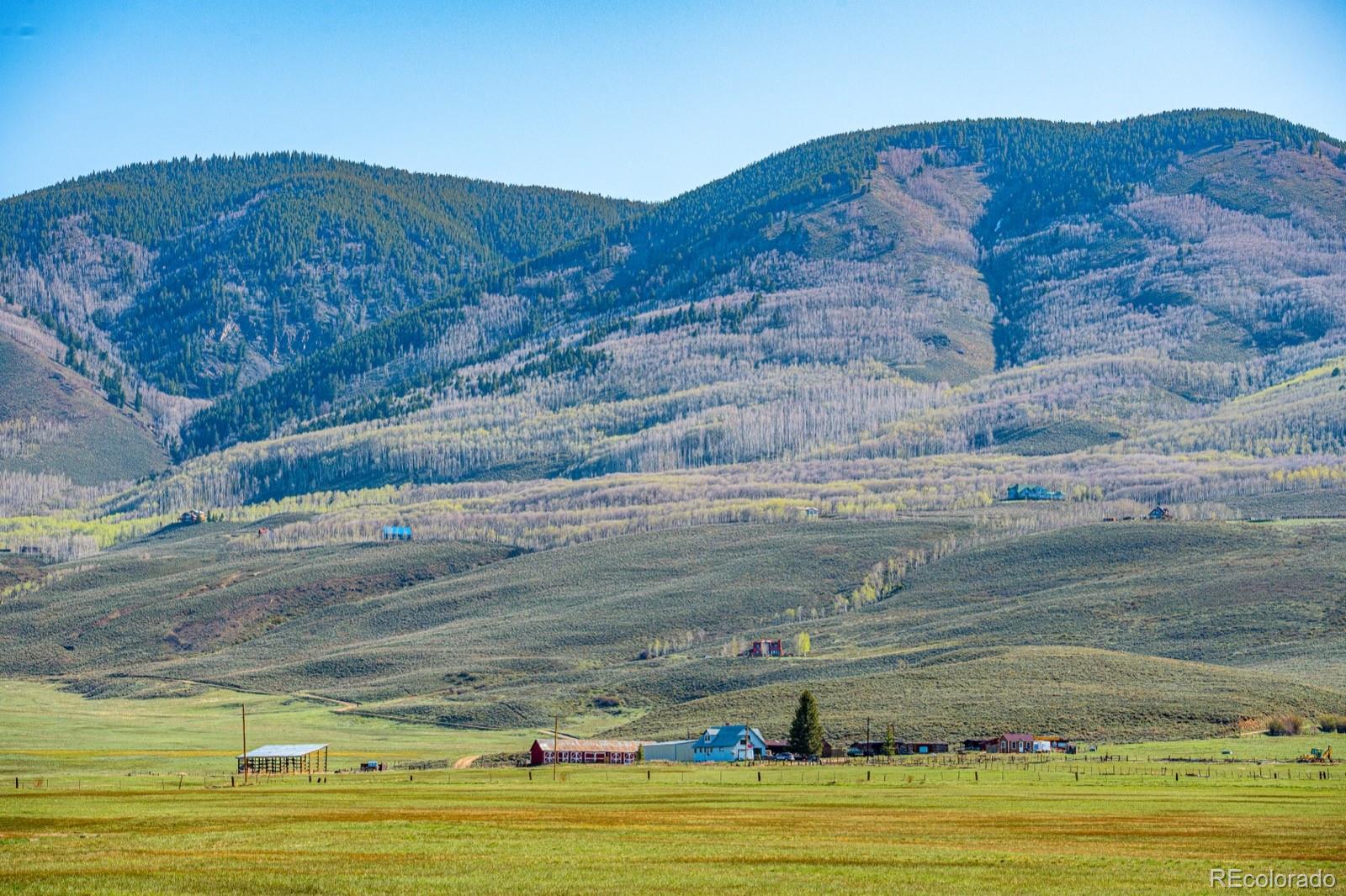 623 County Road 813 Almont CO 81210