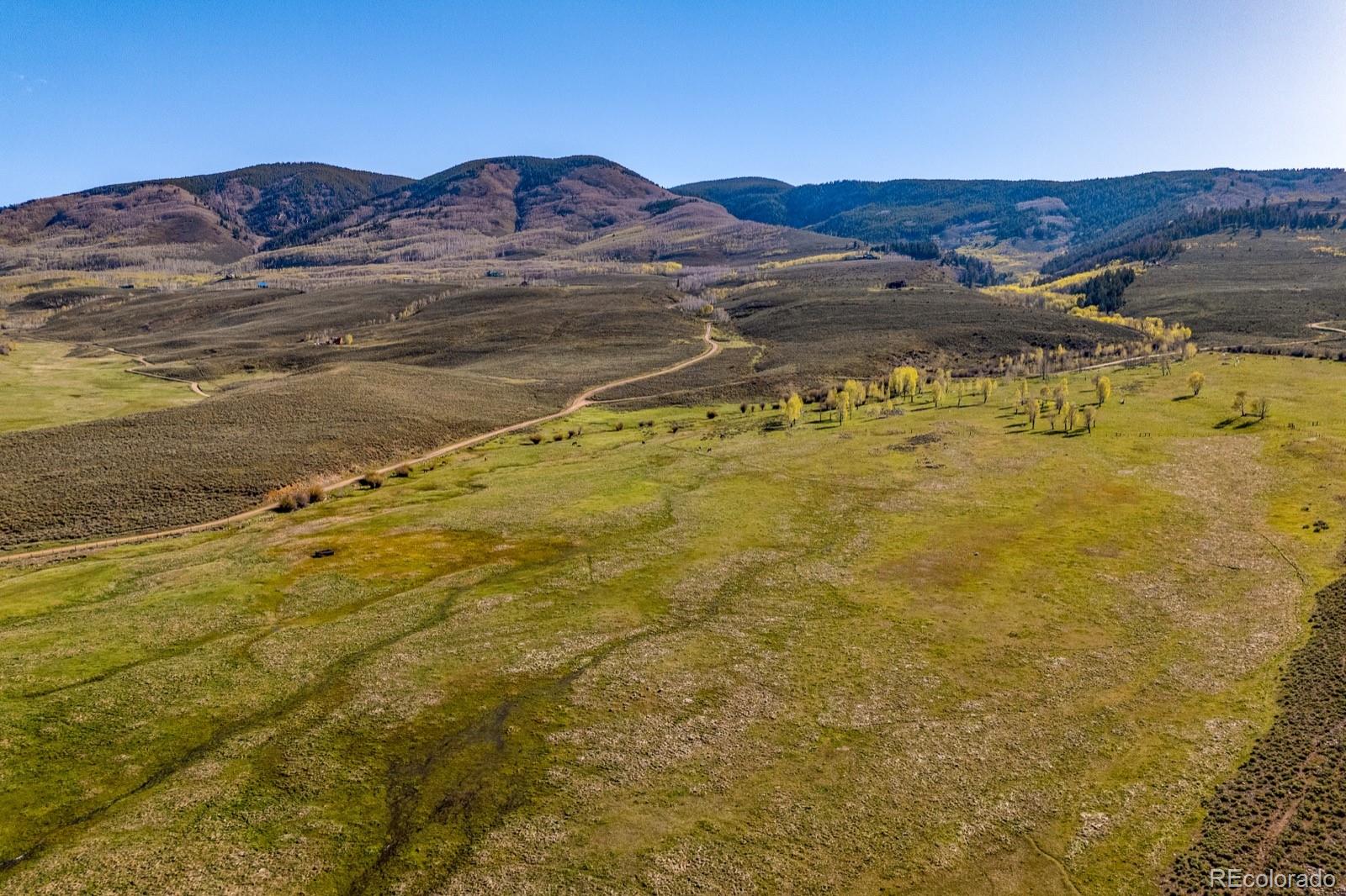 623 County Road 813 Almont CO 81210