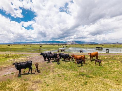 50550 & 51273 County Road X Saguache CO 81149