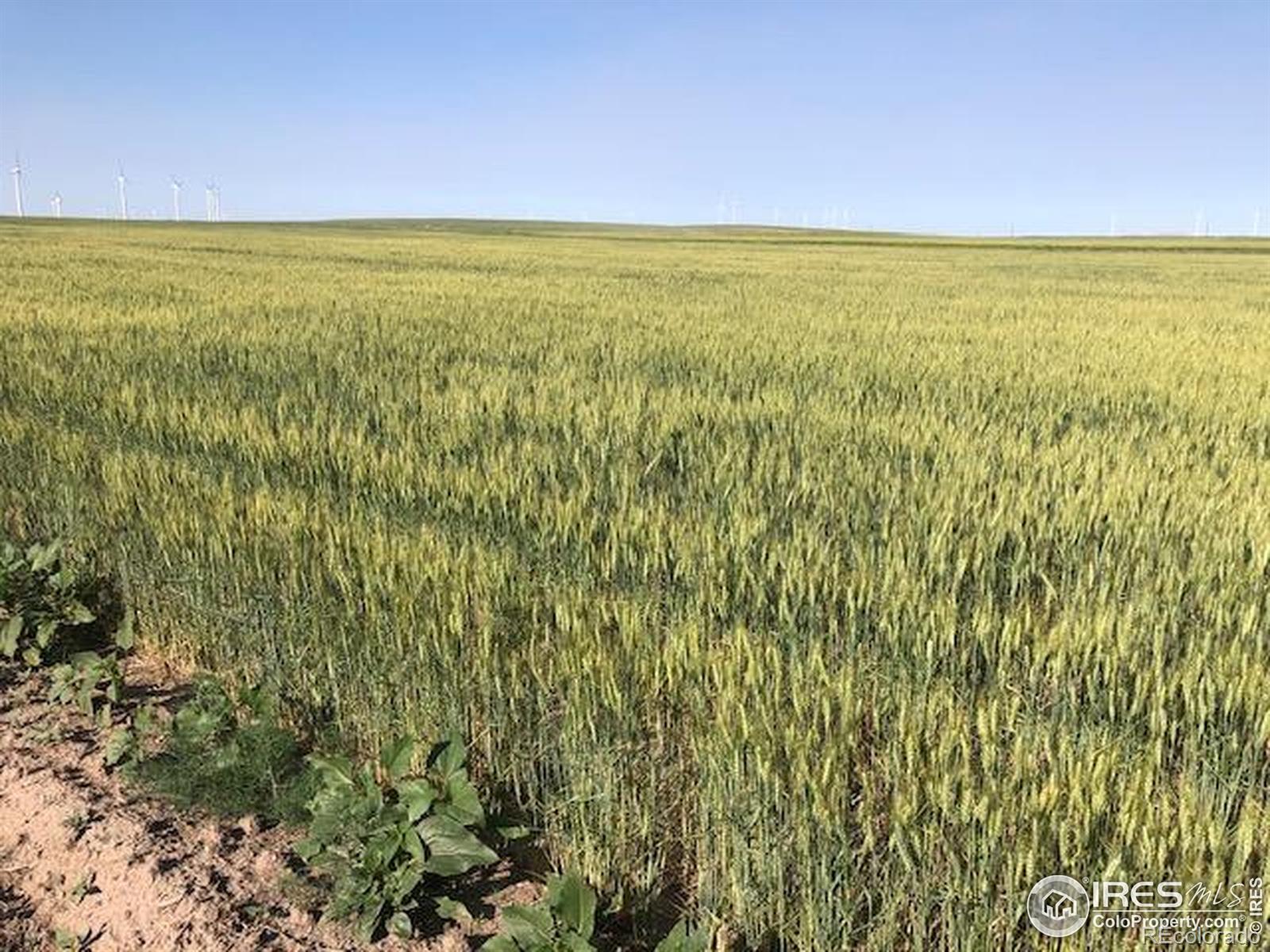 0 Cr 70 Briggsdale CO 80611
