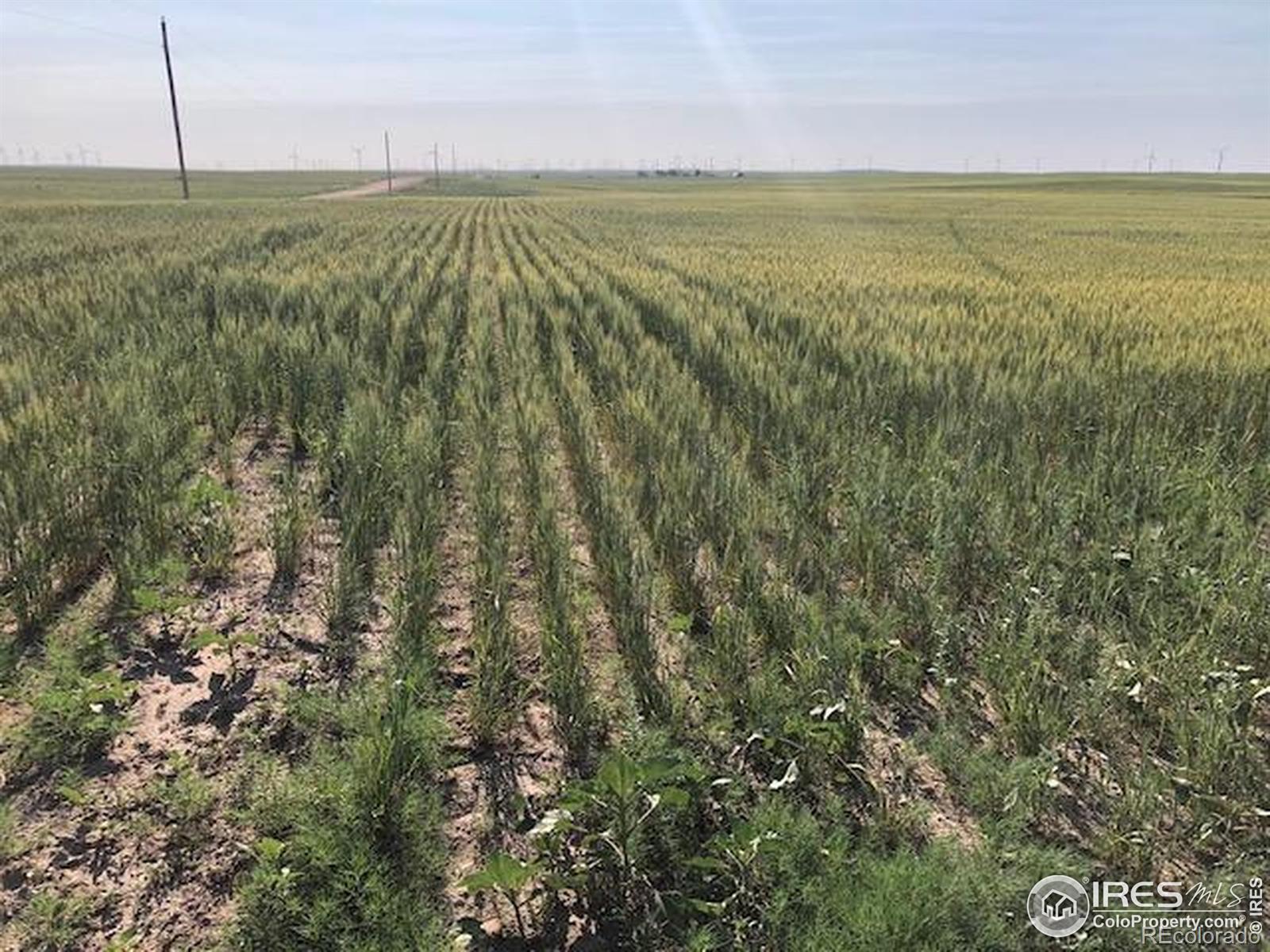 0 Cr 70 Briggsdale CO 80611
