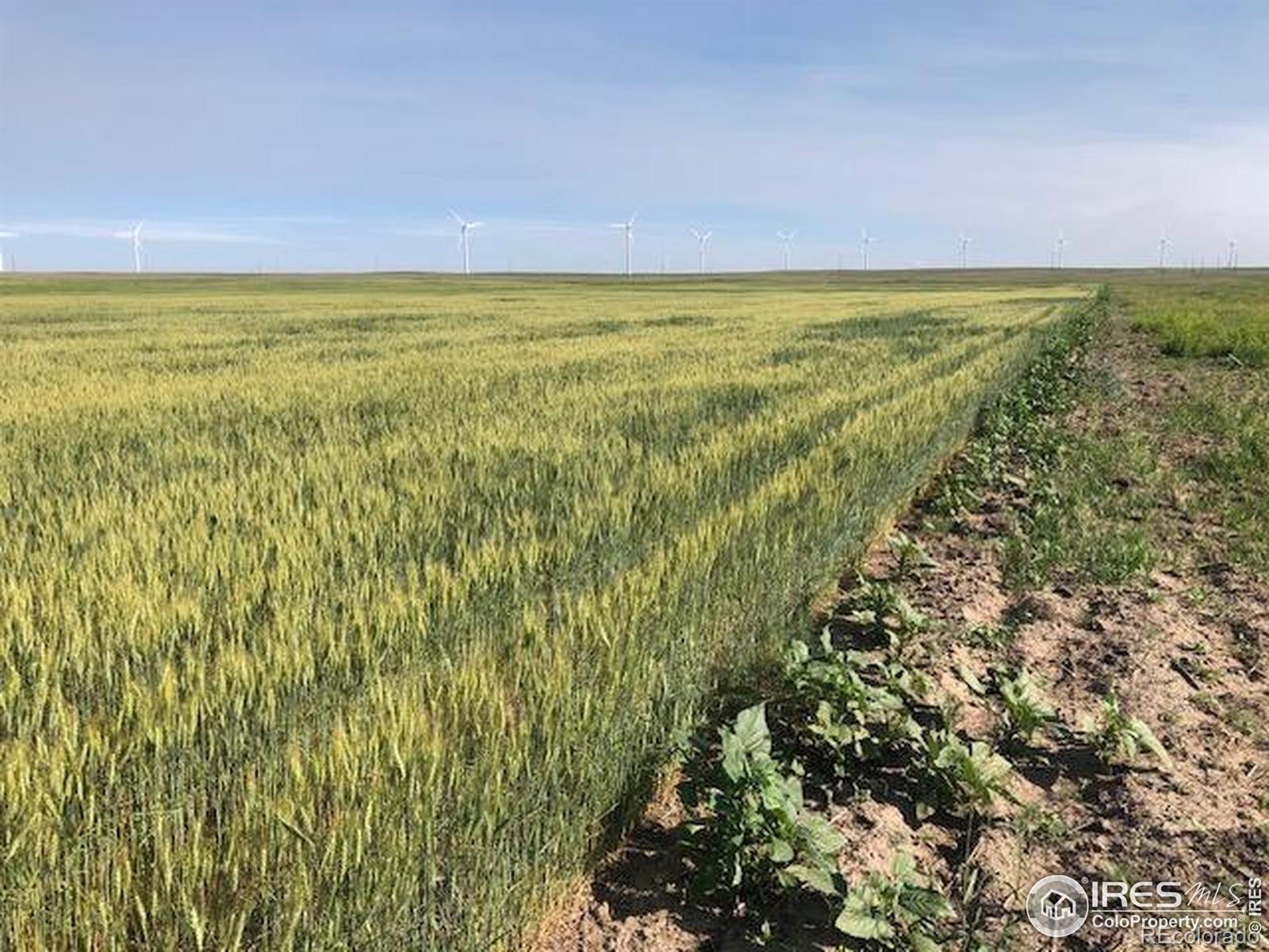 0 Cr 70 Briggsdale CO 80611