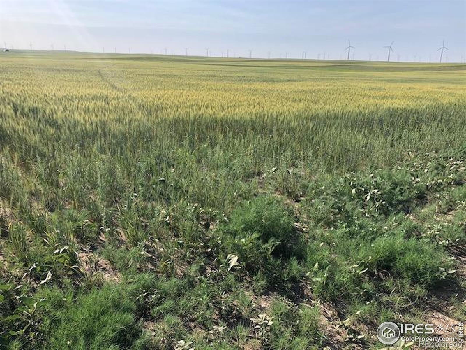 0 Cr 70 Briggsdale CO 80611