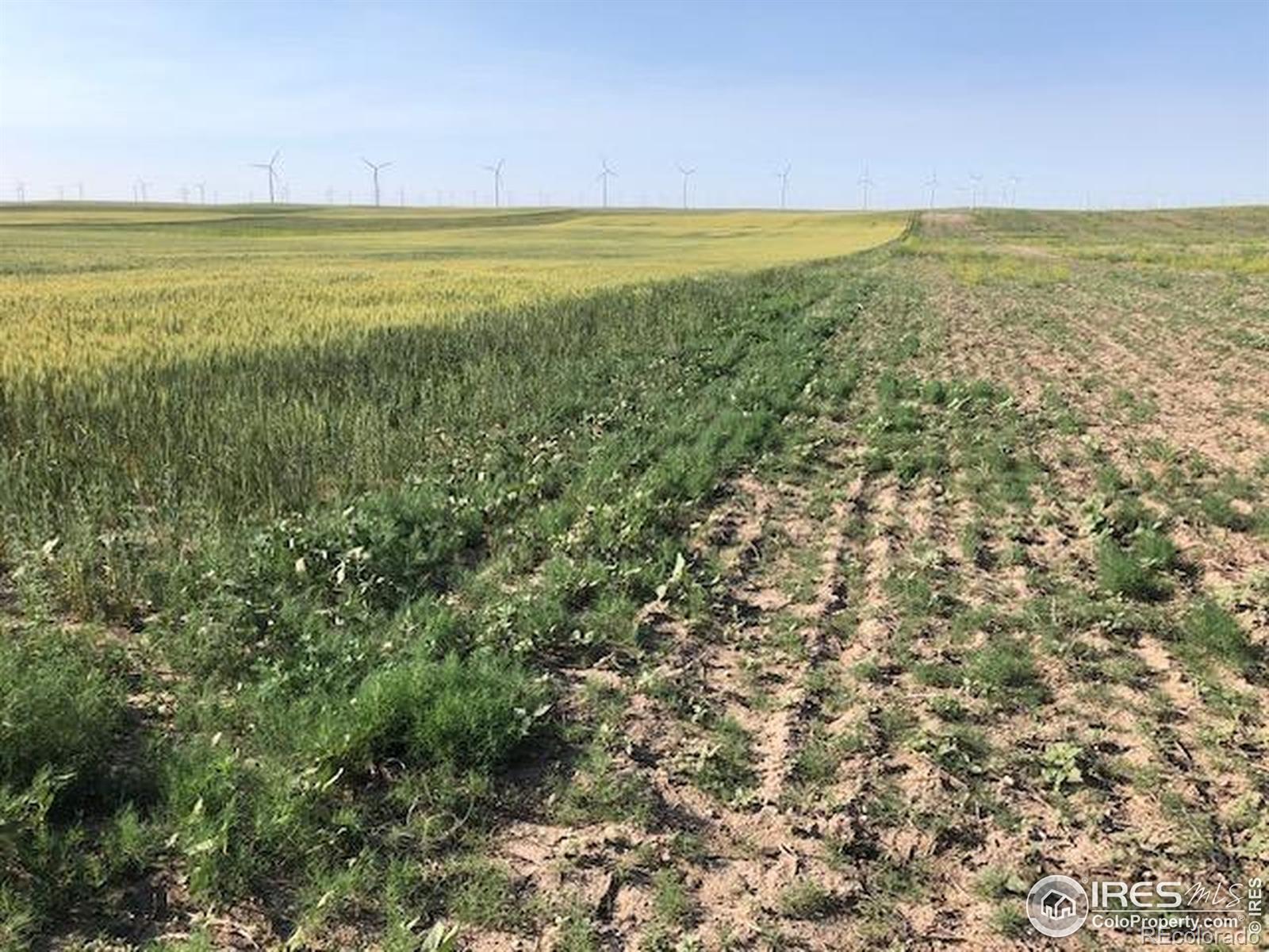 0 Cr 70 Briggsdale CO 80611