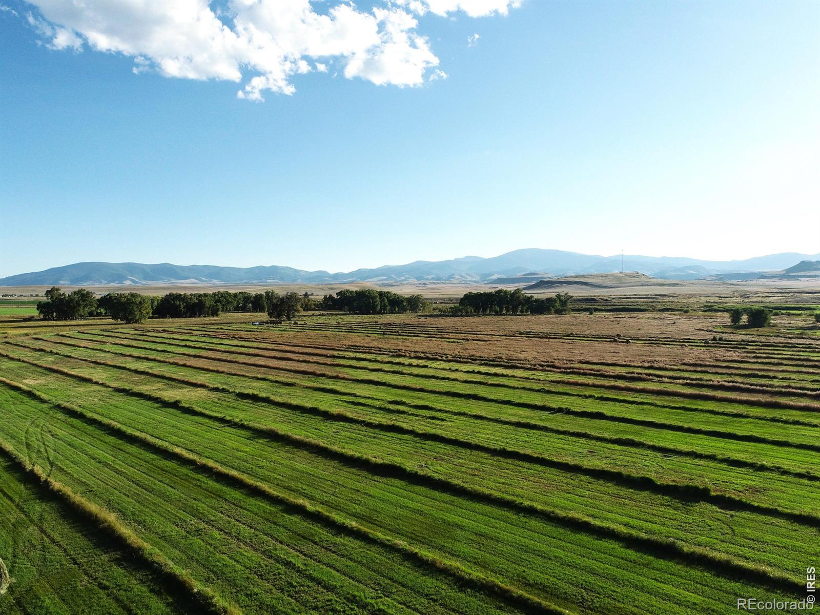 4690 N County Road 5 W Monte Vista CO 81144