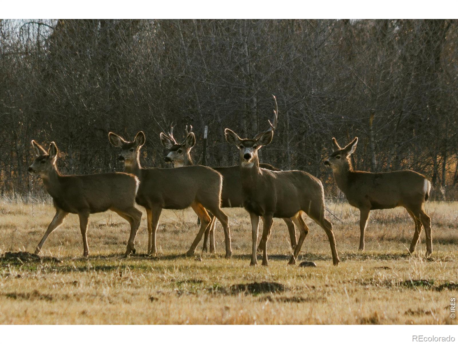4690 N County Road 5 W Monte Vista CO 81144